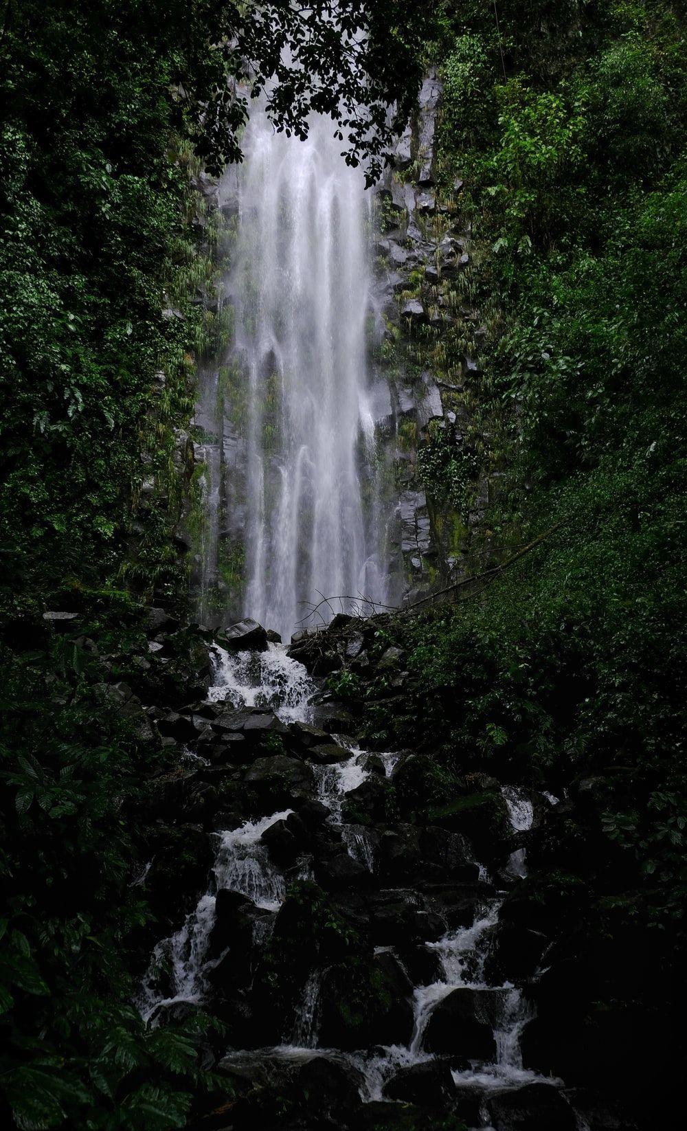 1000x1646 Tropical Waterfall Picture. Download Free Image