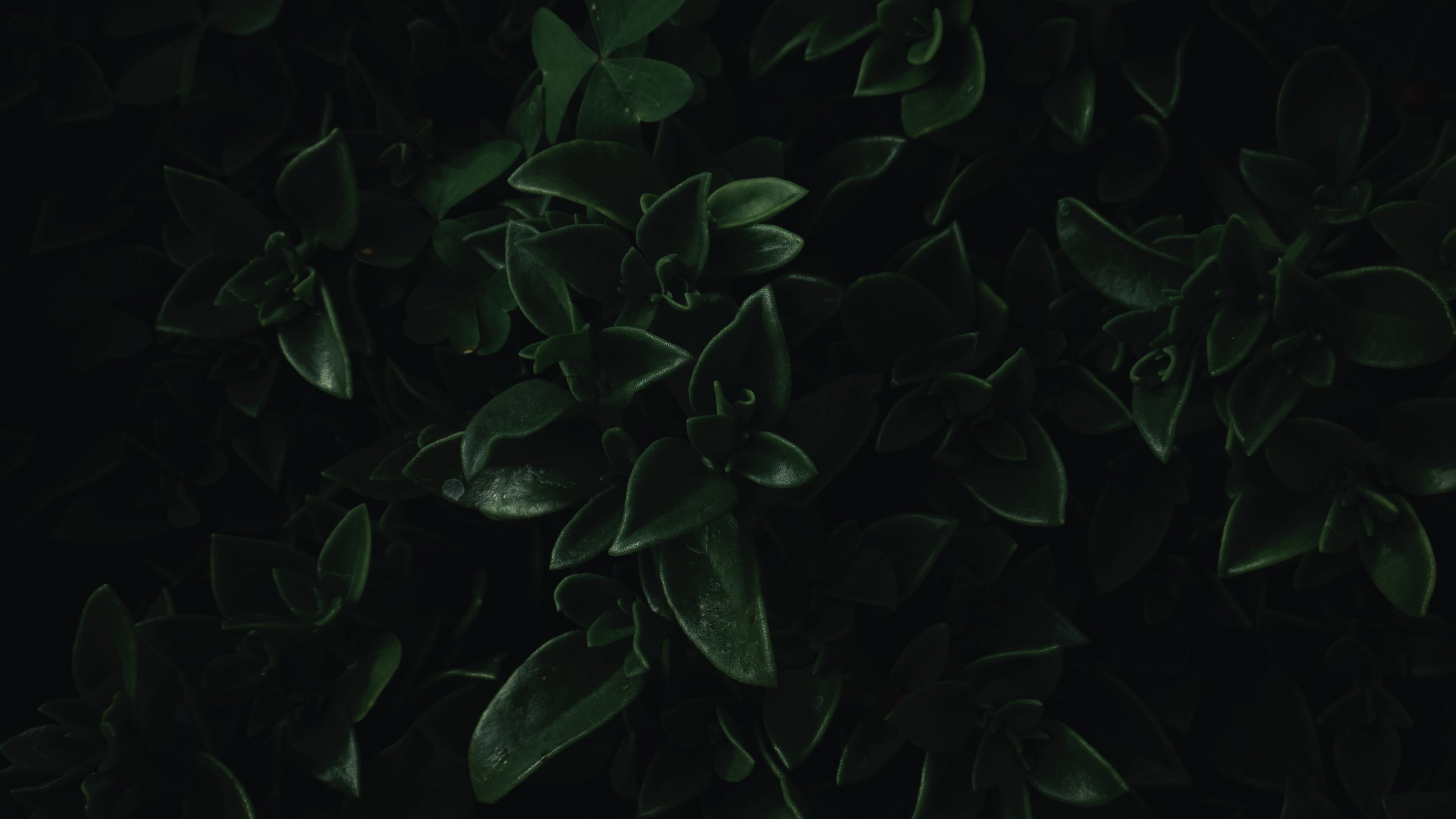 3840x2160 