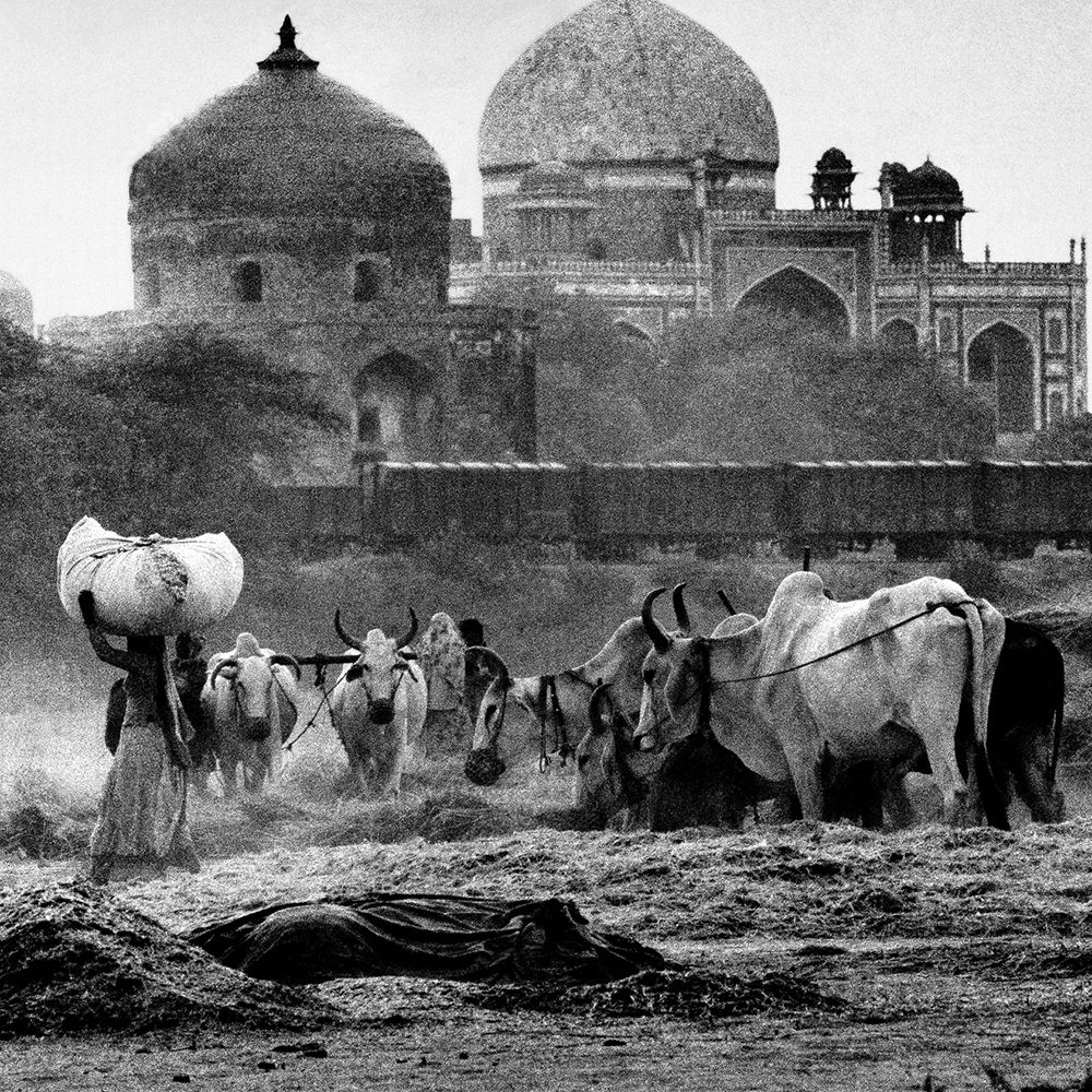 1000x1000 Raghu Rai Foundation