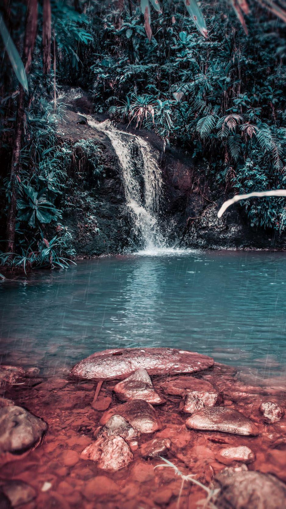 938x1668 Download wallpaper 938x1668 waterfall, stream, forest, jungle