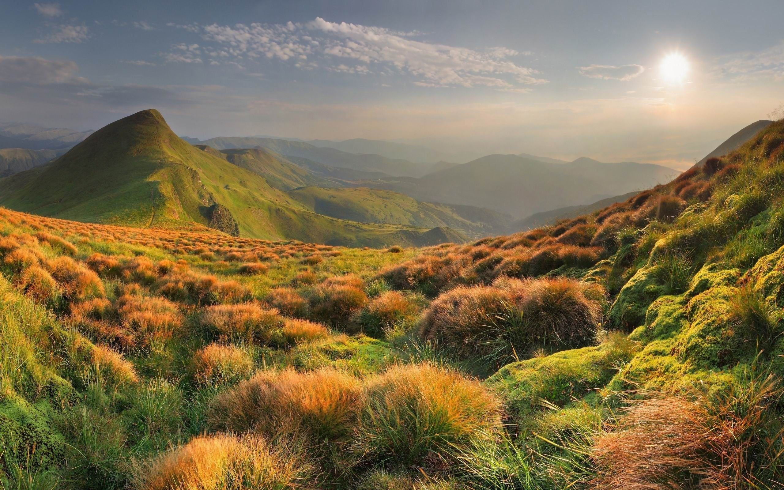 2560x1600 Grass Mountains Evening Scenery HD Wallpaper