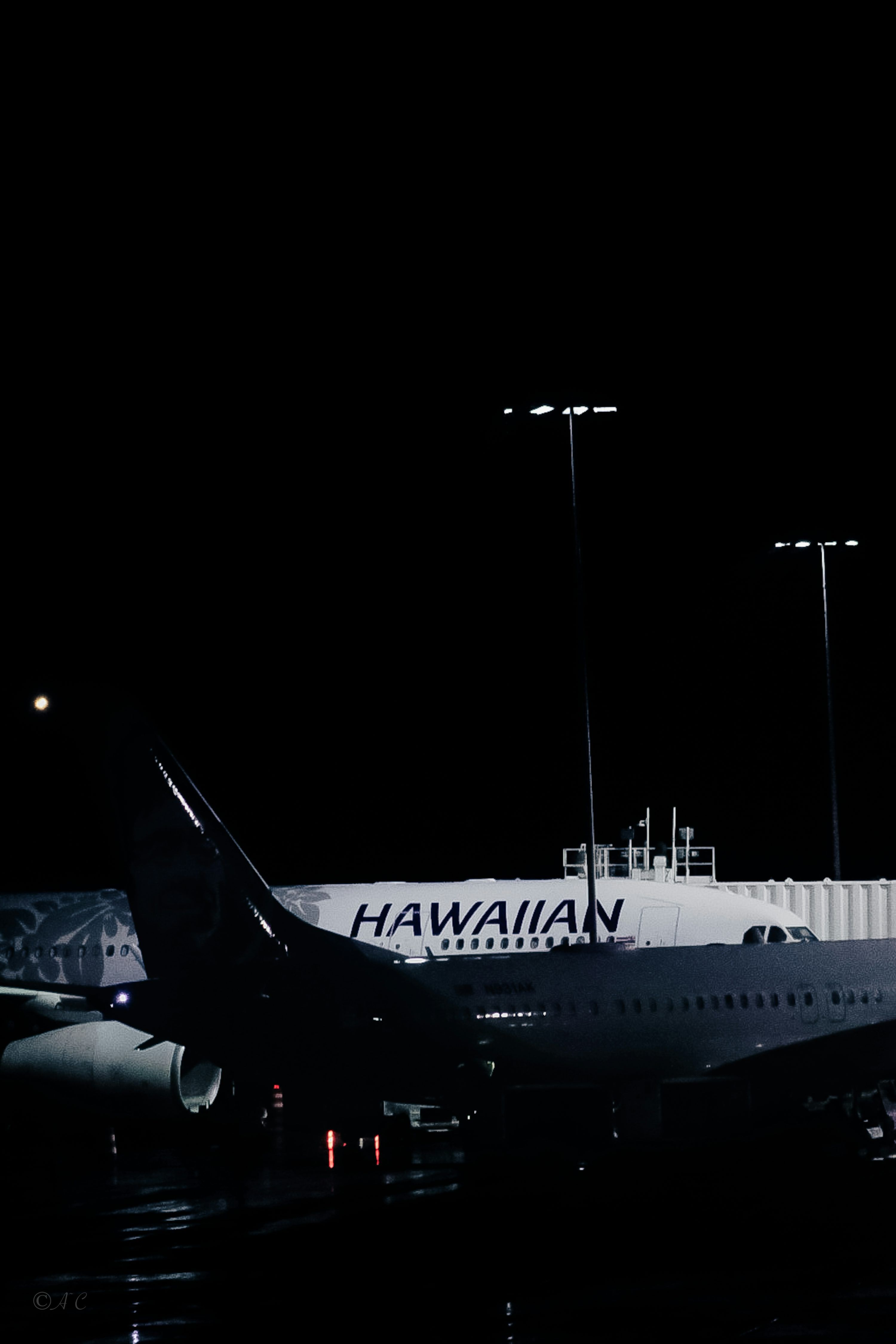 3000x4500 Hawaiian Airlines Picture. Download Free Image