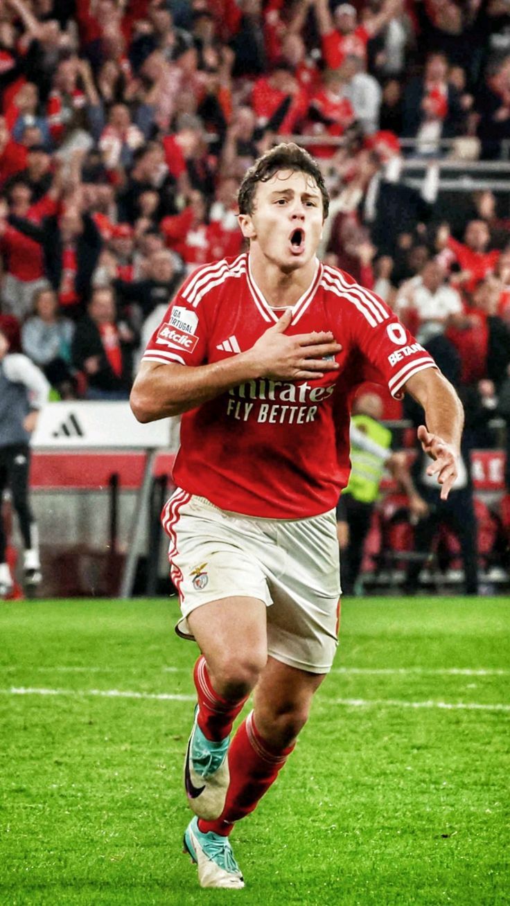 736x1308 João Neves Wallpaper