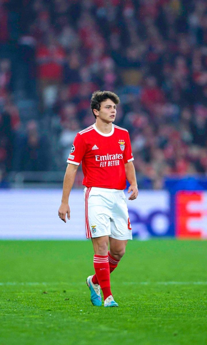 720x1199 joão neves