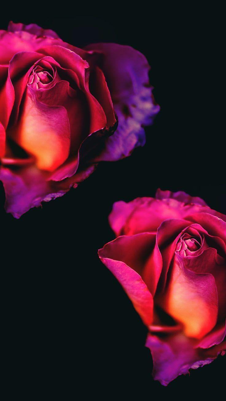 736x1308 Oled Wallpaper iPhone X