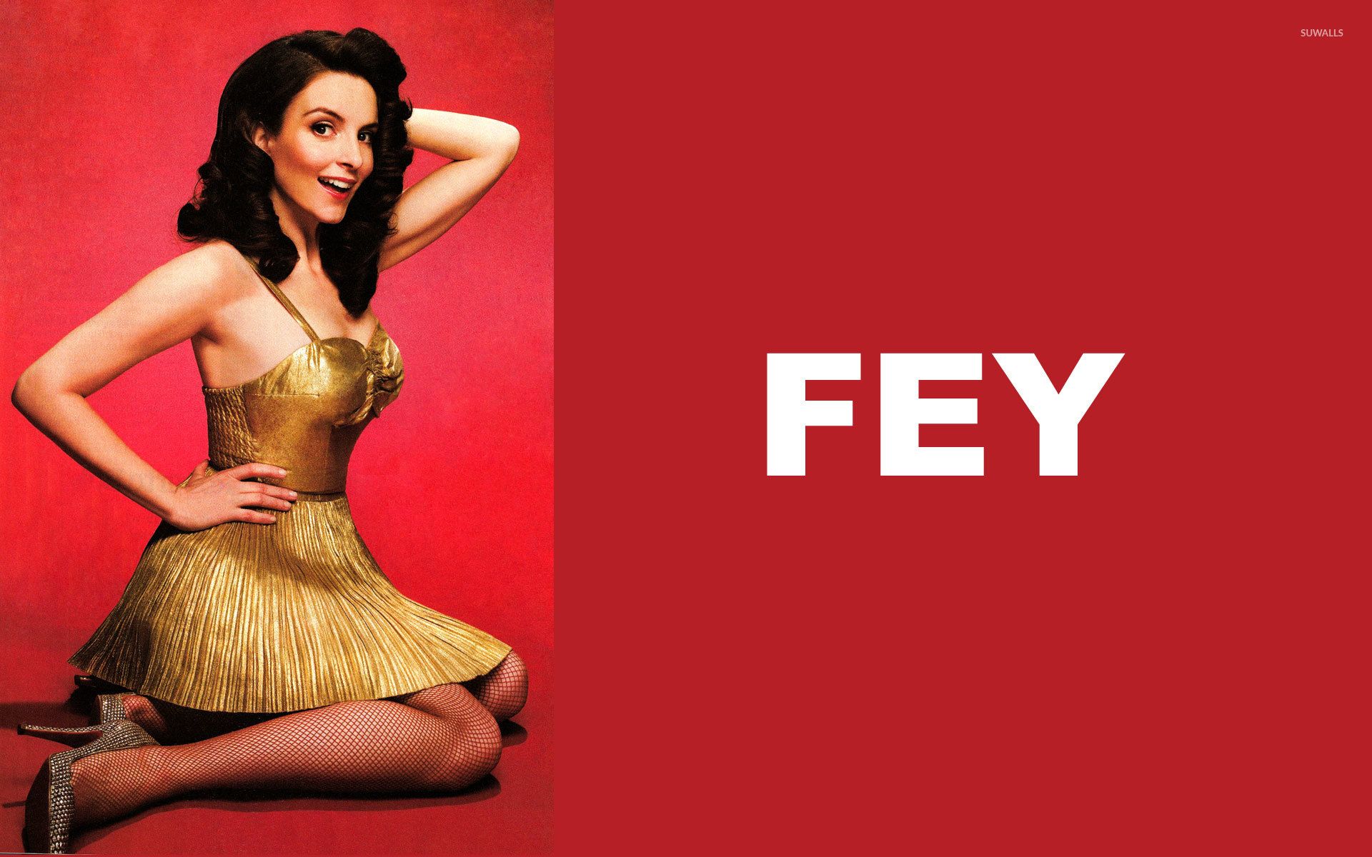 1920x1200 Tina Fey [3] wallpaper wallpaper