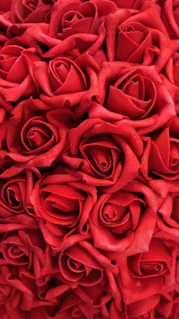 736x1308 RED. iPhone XR Wallpaper ideas. iphone wallpaper, preppy wallpaper, iphone background