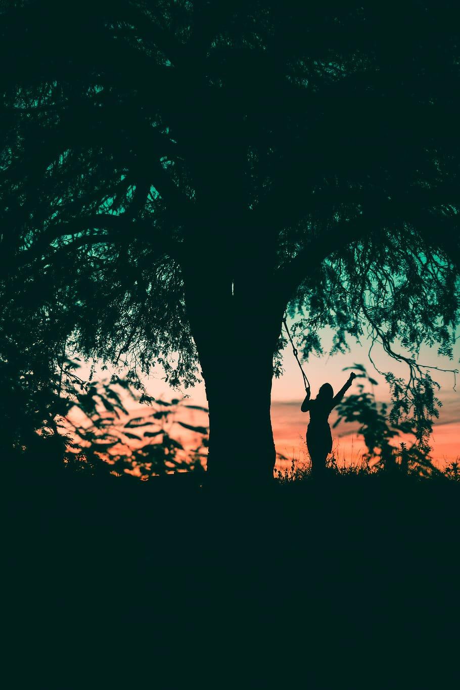 910x1365 Paraguay 1080P, 2K, 4K, 5K HD wallpaper free download. Wallpaper