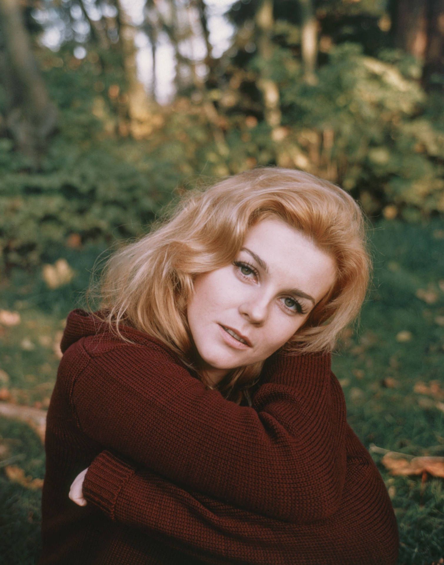 1510x1920 Ann Margret Wallpaper