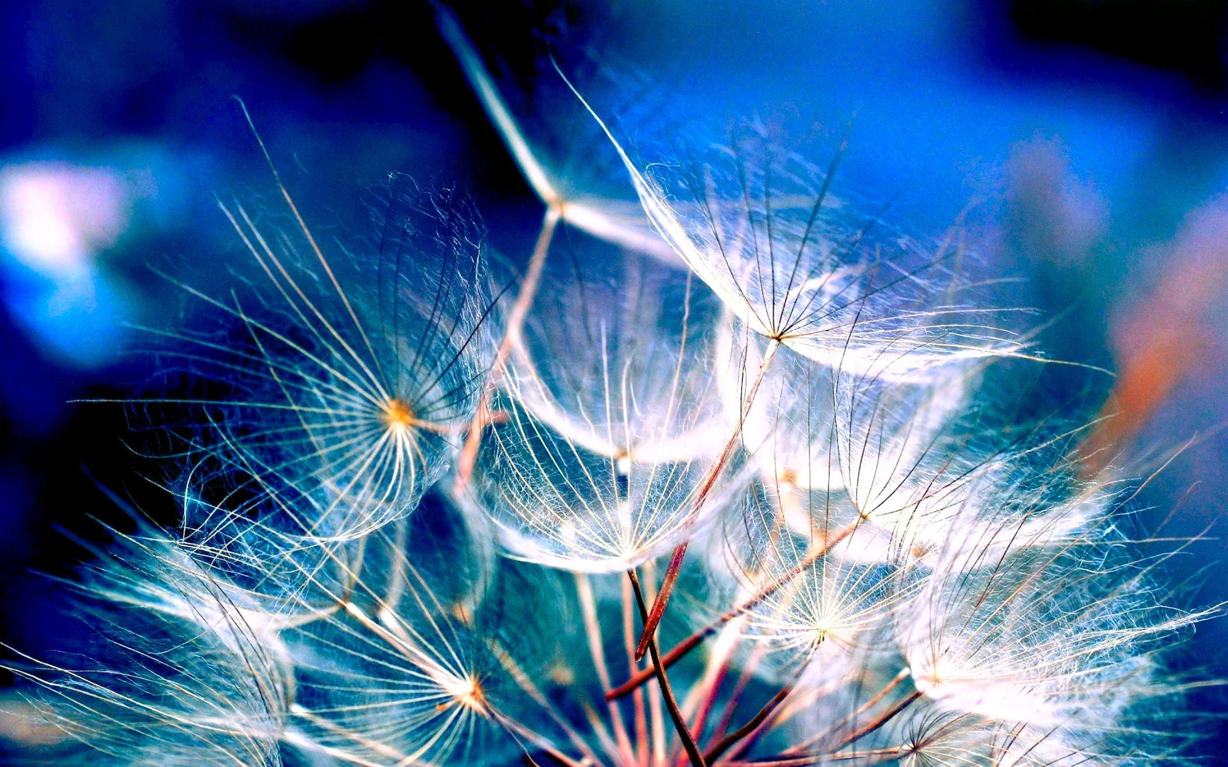 2500x1562 Aesthetic Wallpaper For Mac Book Pro Wallpaper
