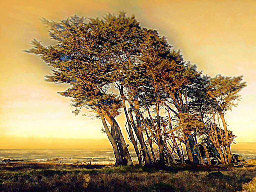 1024x768 fort bragg. OLYMPUS DIGITAL CAMERA