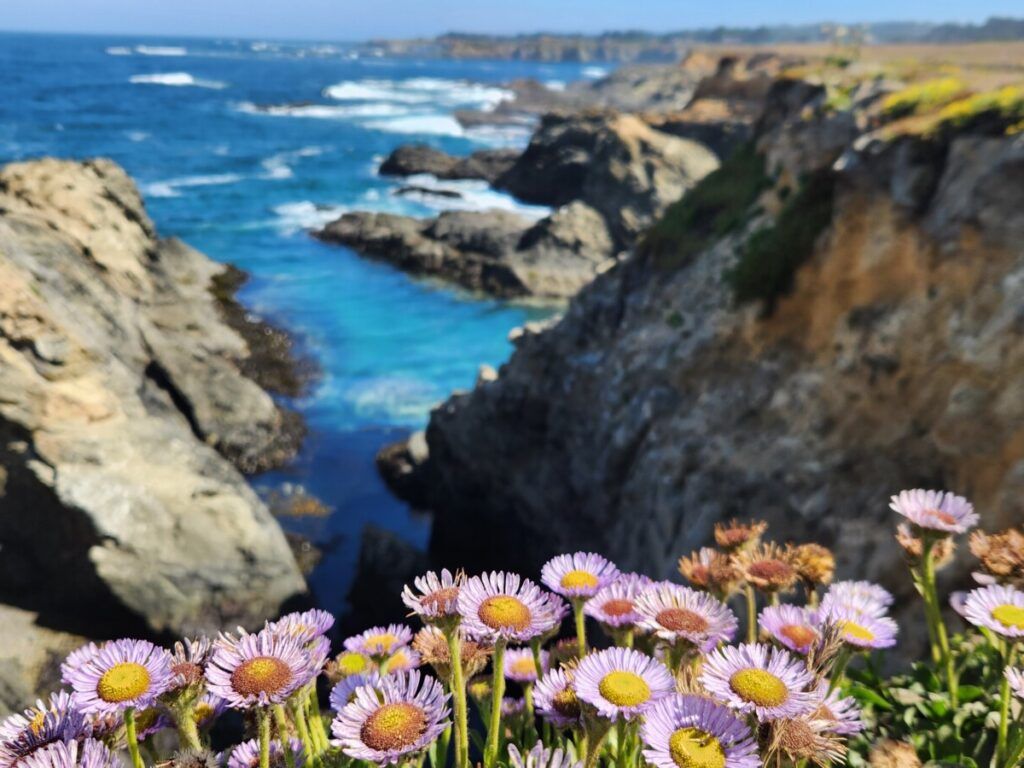 1024x768 Fort Bragg, CA: The Lost Coast RV Adventures