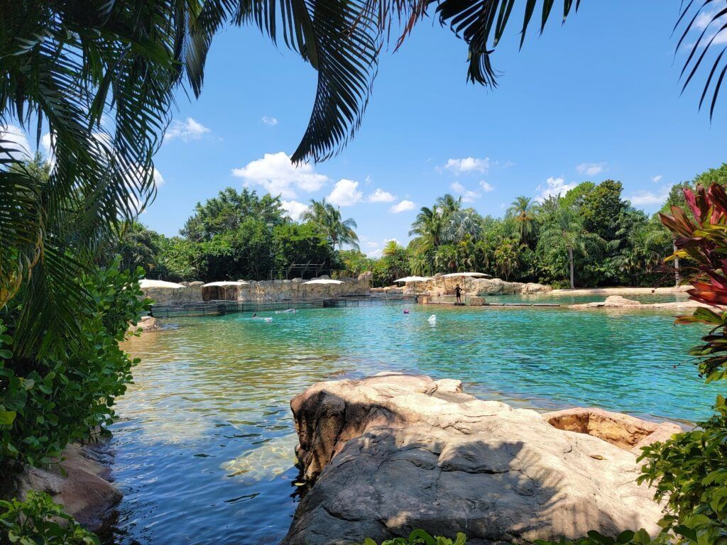 1024x768 Discovery Cove