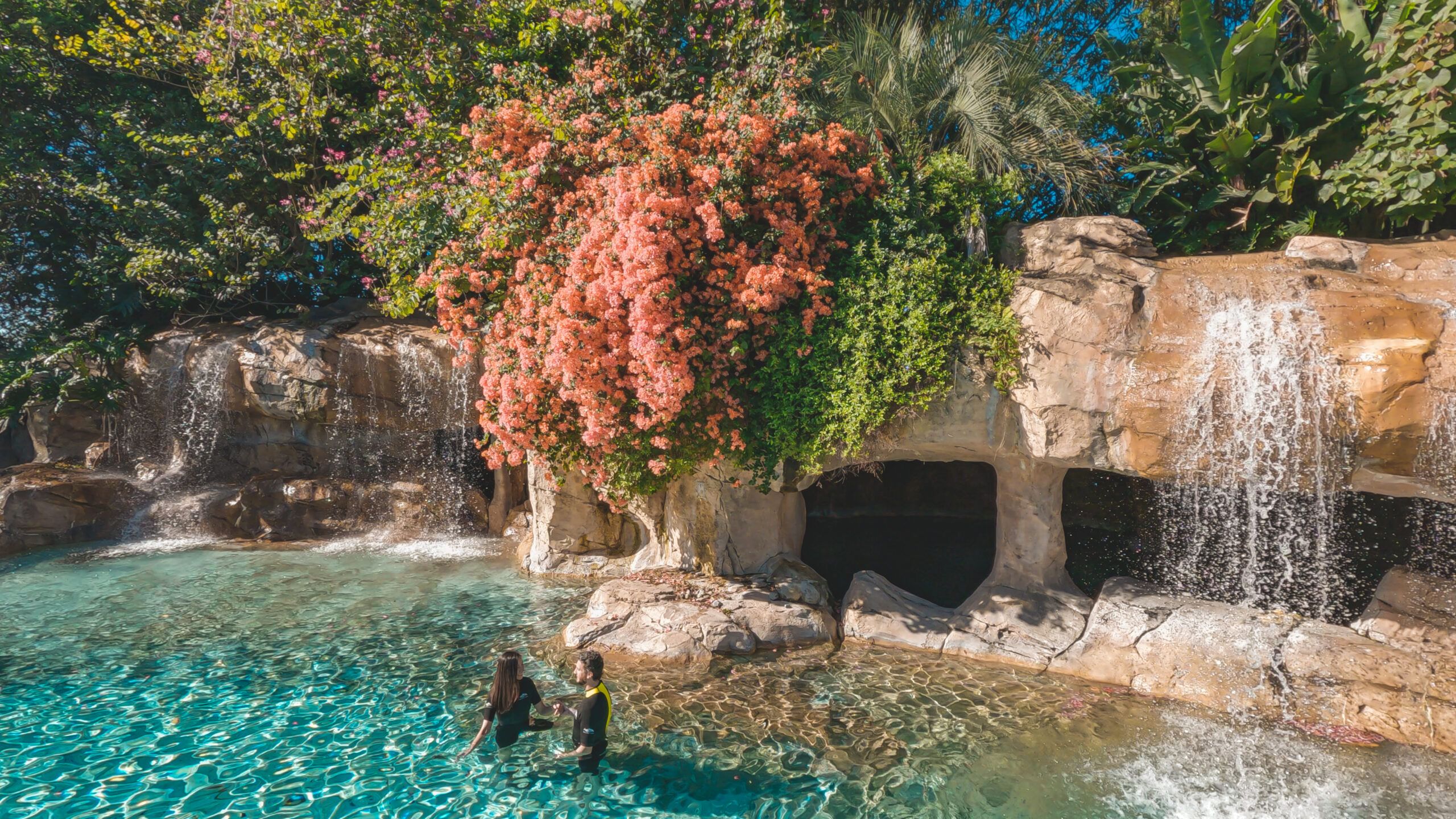 2560x1440 Discovery Cove Offers A Tropical, All Inclusive Experience Just A Few Hours From Tampa Bay