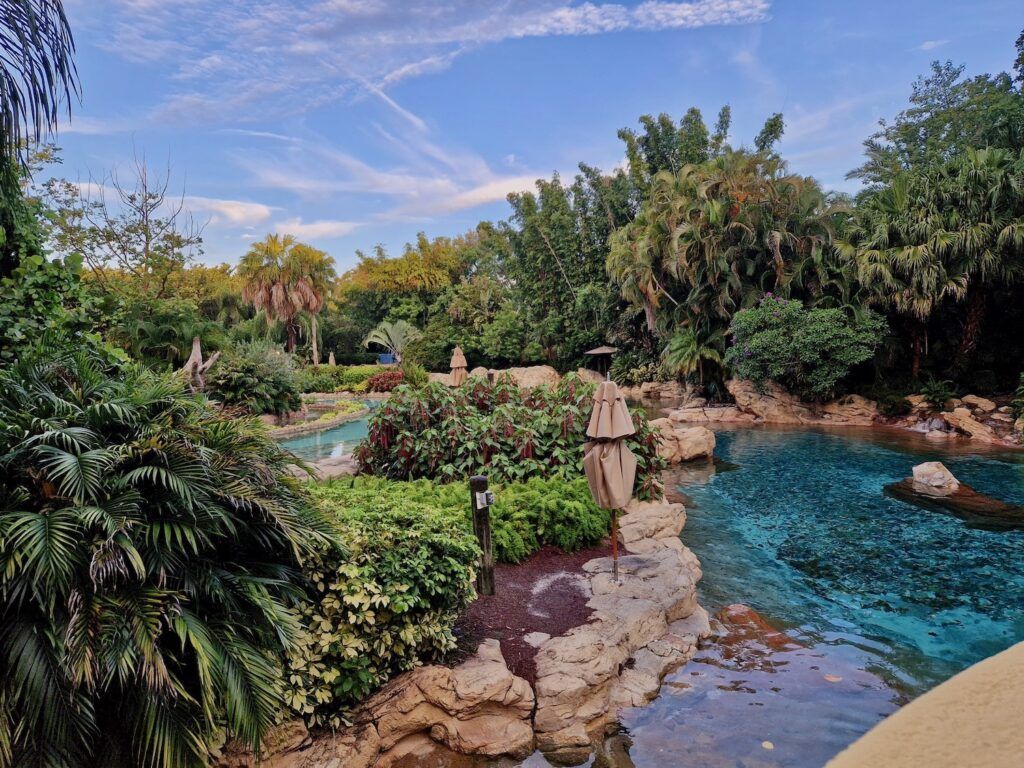 1024x768 From Snorkeling to Serenity: A Perfect Day at Discovery Cove, Orlando
