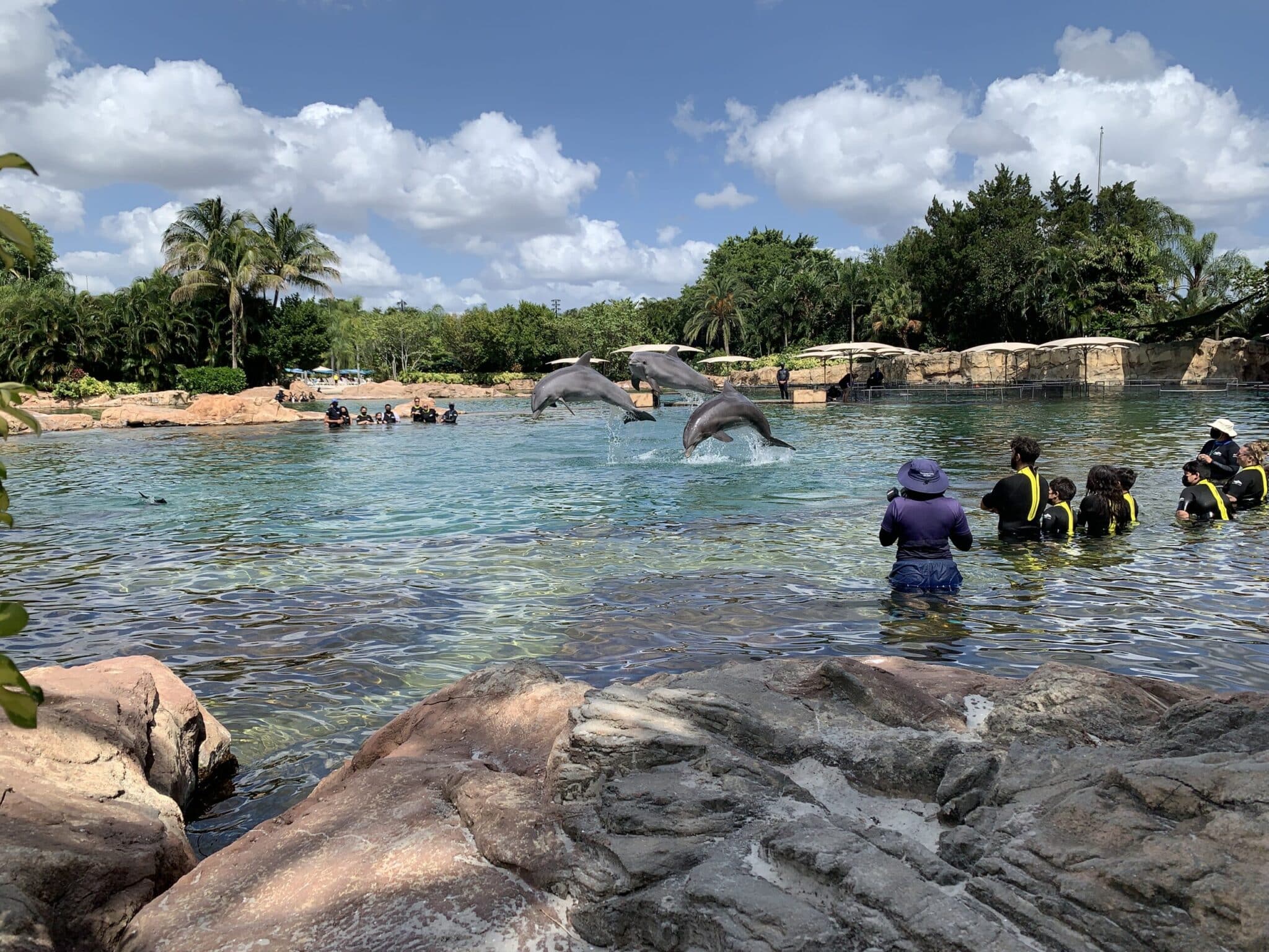 2048x1536 All Inclusive Discovery Cove Orlando Review