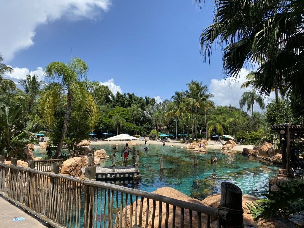 1024x768 Stay Safe At Discovery Cove This Fall