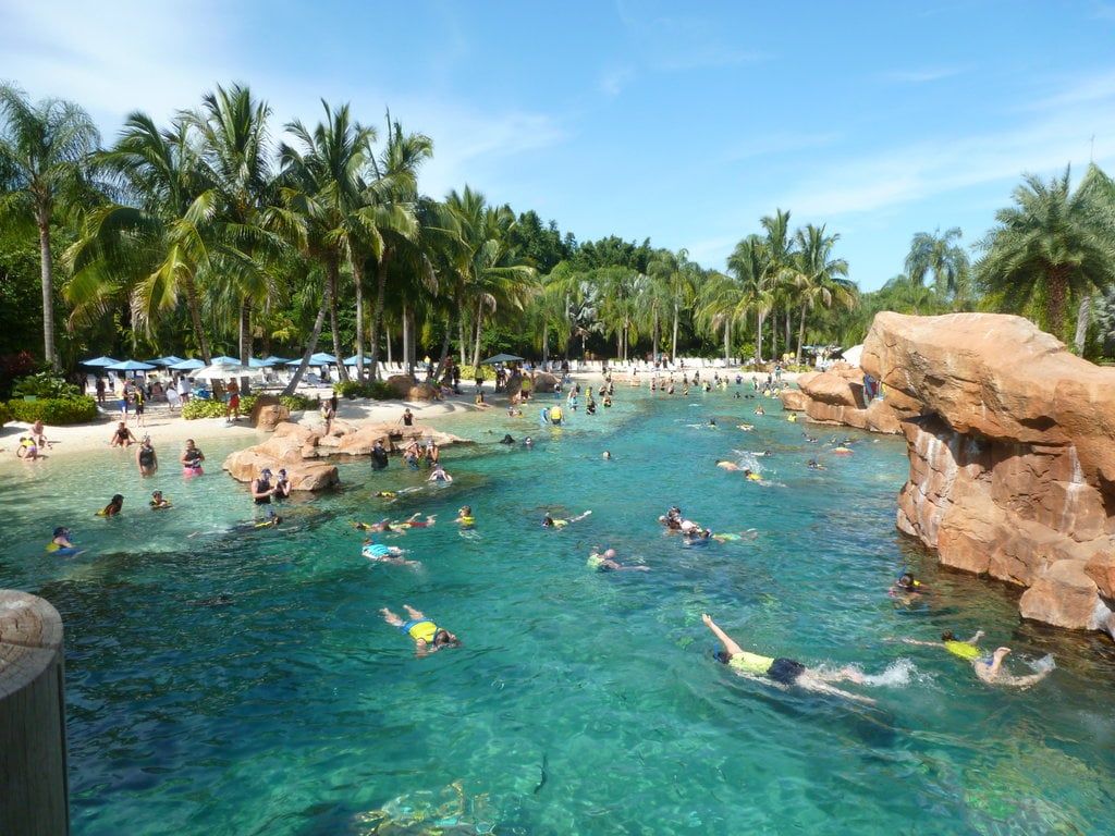 1024x768 Is a day at Discovery Cove worth the money?