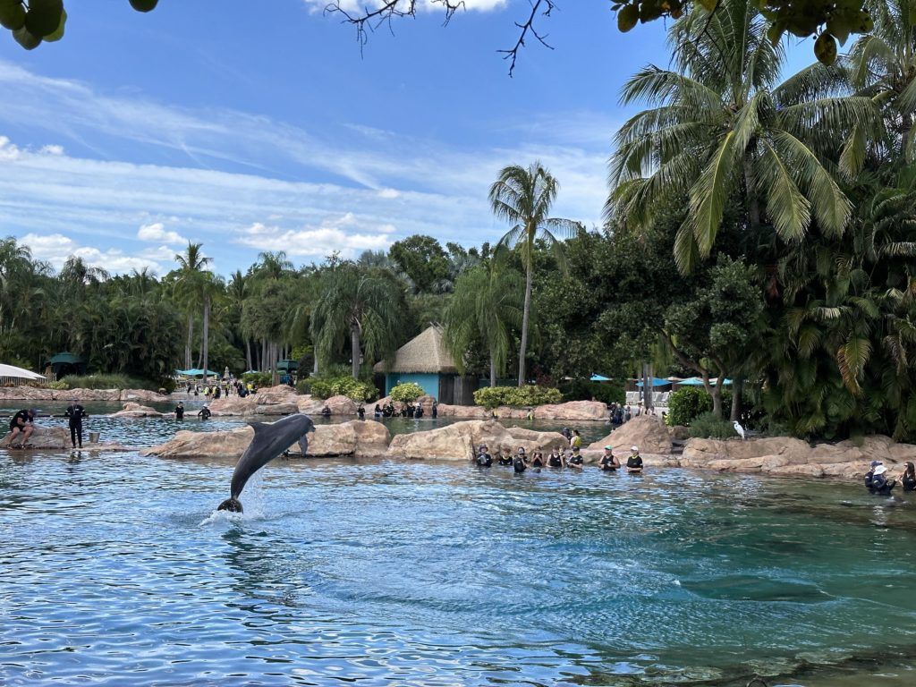 1024x768 Why you should visit Discovery Cove Orlando detailed guide