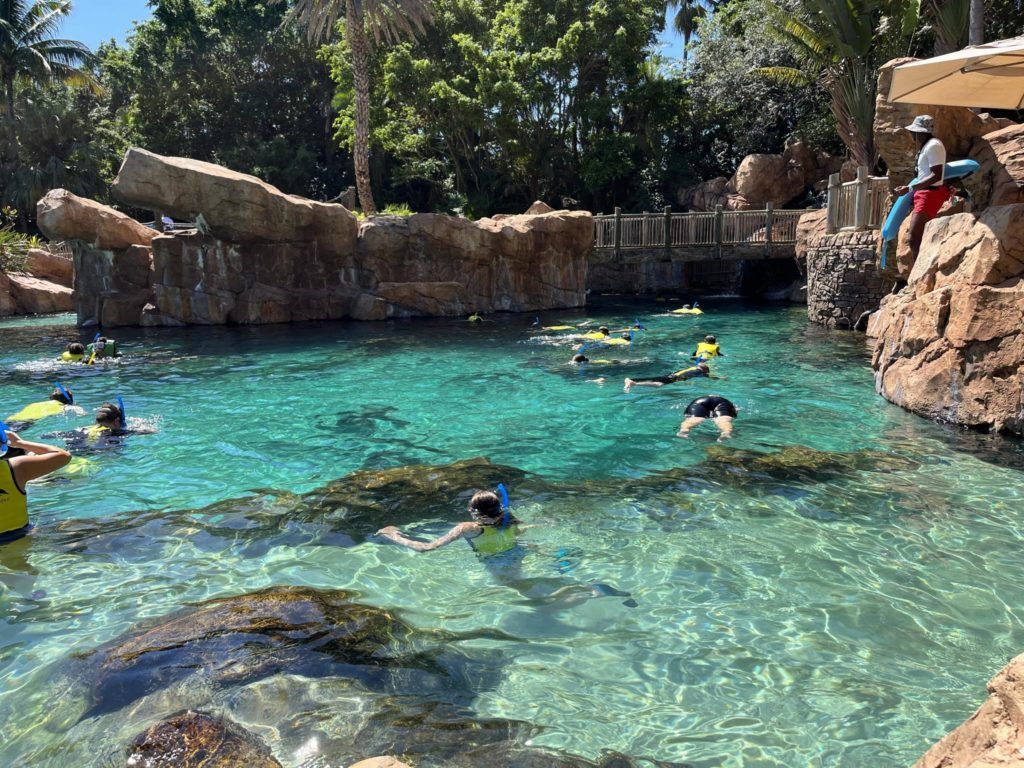 1024x768 Why you should visit Discovery Cove Orlando detailed guide