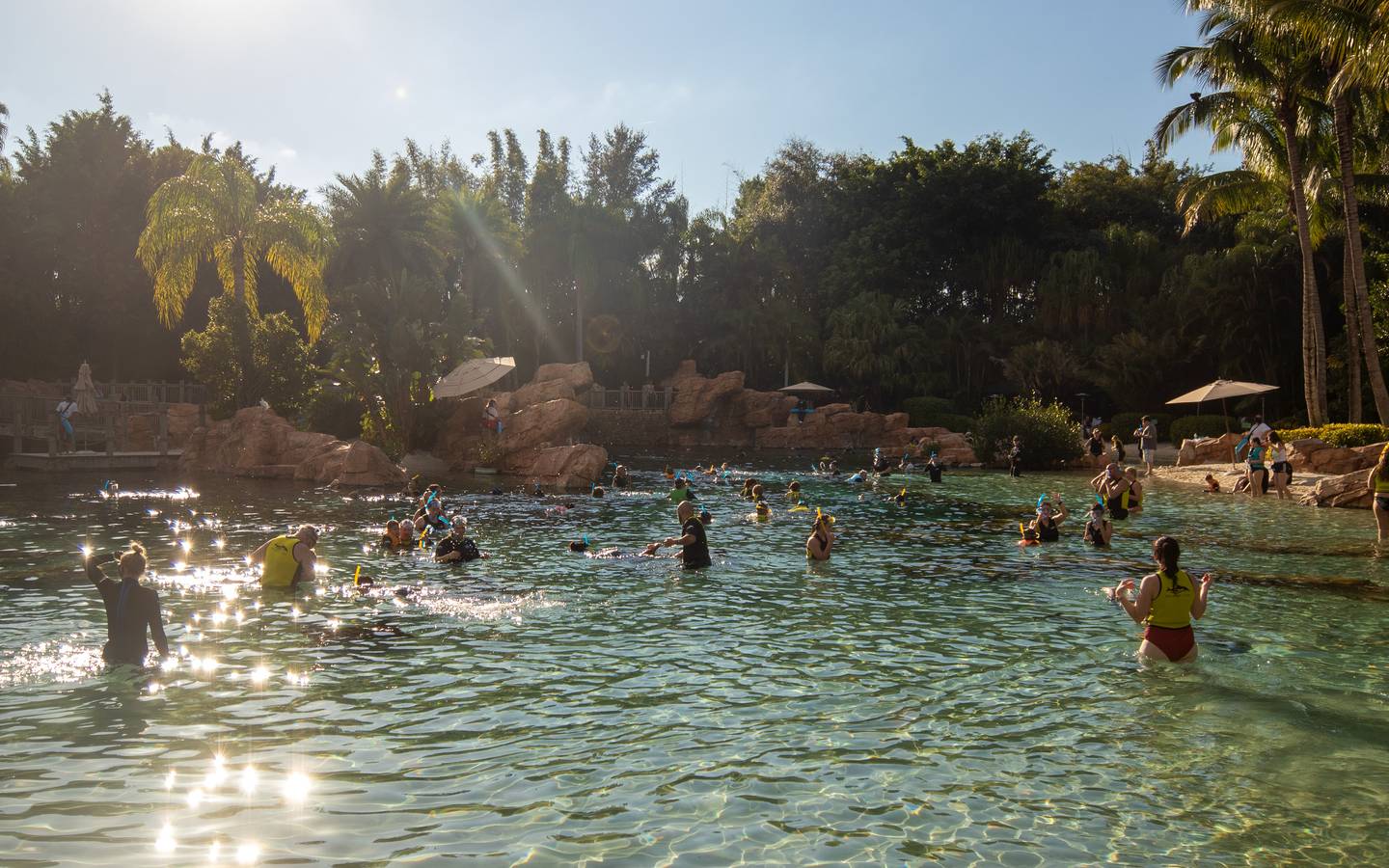 1440x900 Discovery Cove: Things Our Family Loved