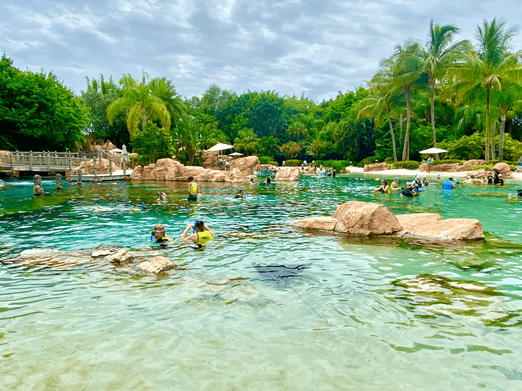 1024x768 Love Flamingos? Discovery Cove's Flamingo Experience is for You! Girl Lifestyle