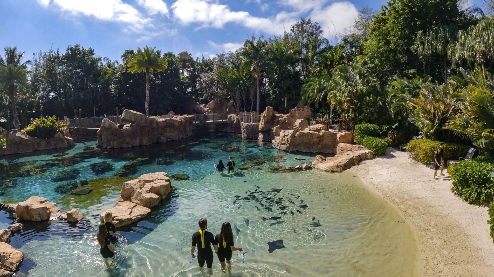 2048x1152 Discovery Cove in Orlando Offers Free $50 Gift Card Per Guest
