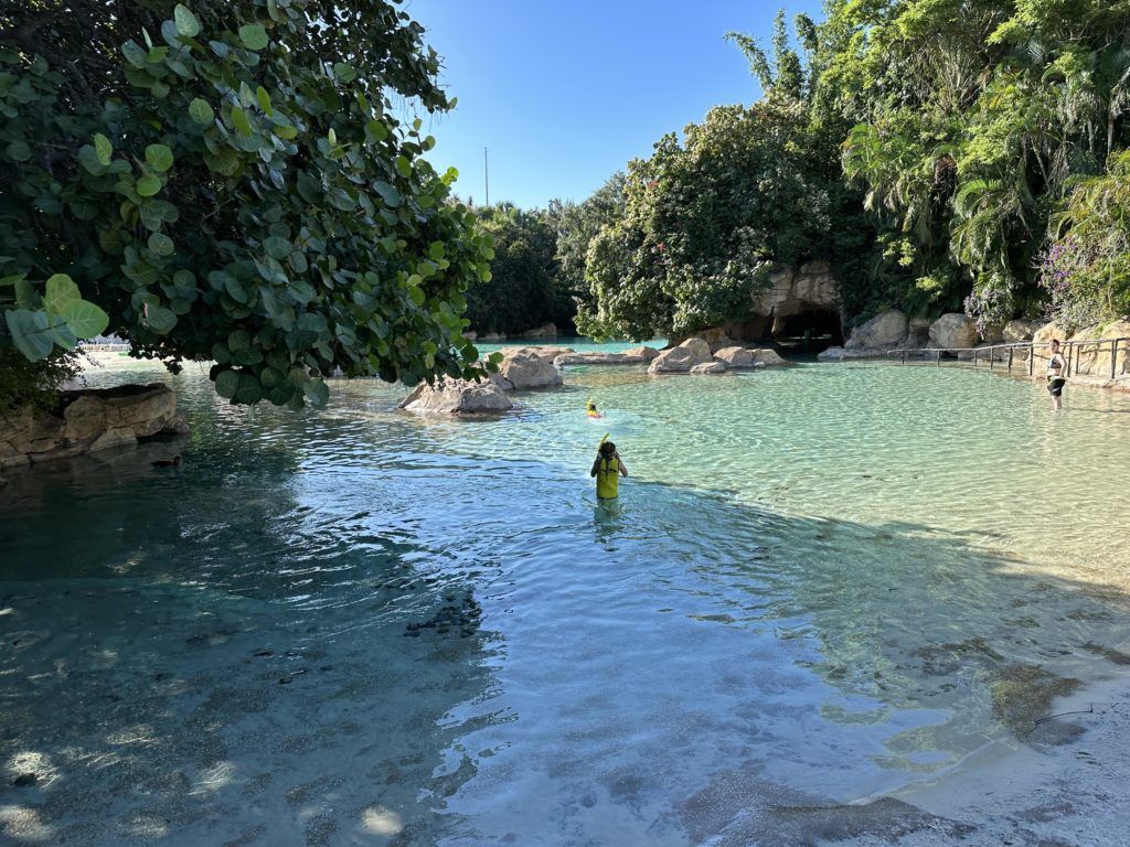 1024x768 Why you should visit Discovery Cove Orlando detailed guide