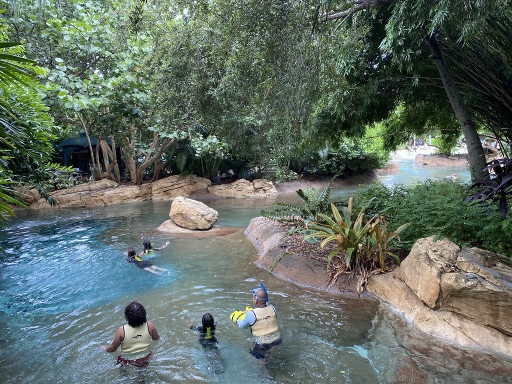 1024x768 Stay Safe At Discovery Cove This Fall