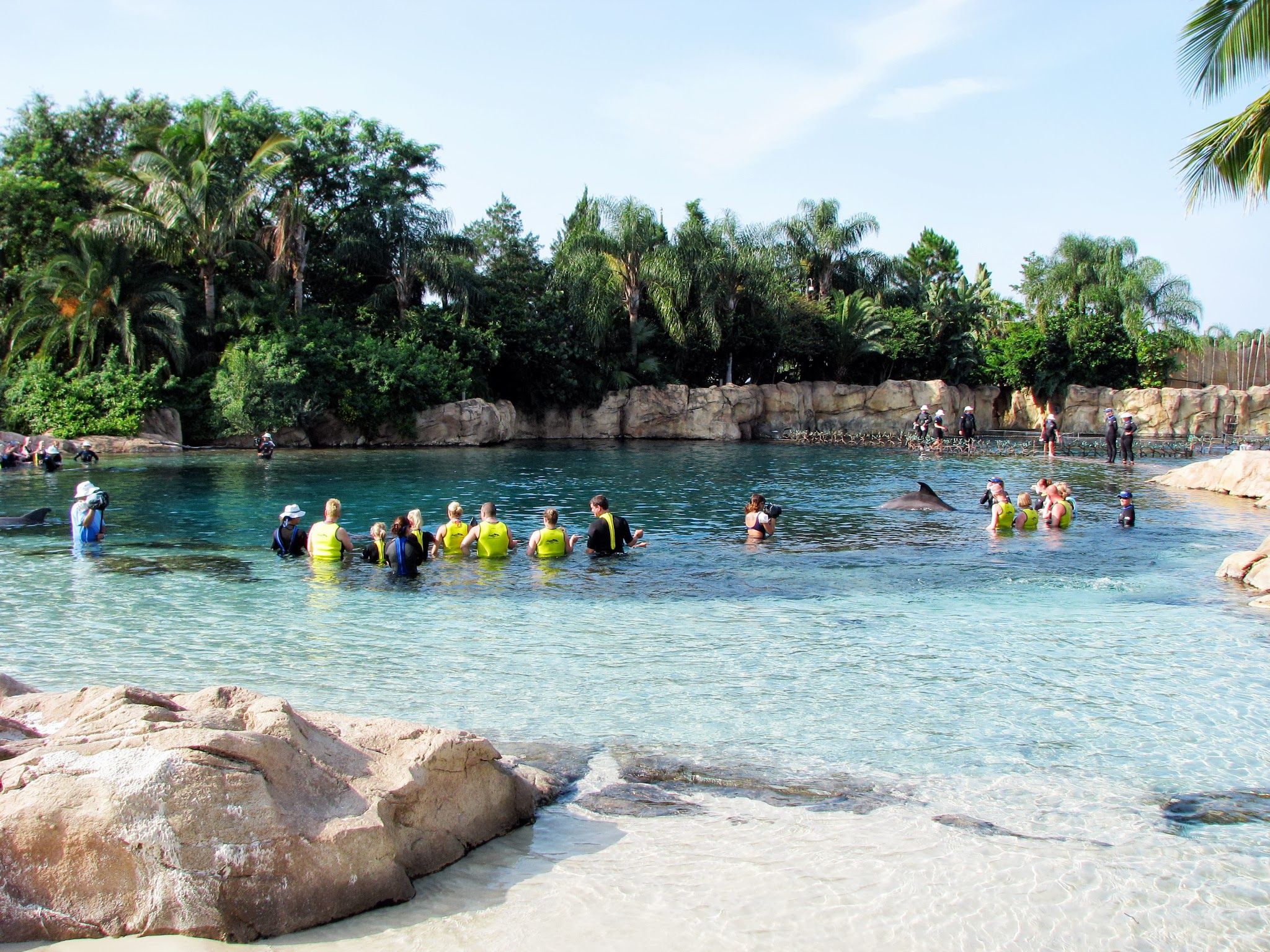 2048x1536 Discovery Cove, Orlando