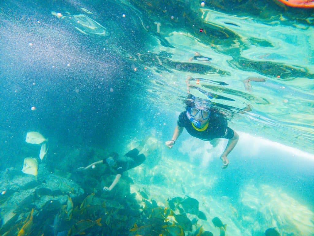 1024x768 Discovery Cove: Complete Guide and Overview