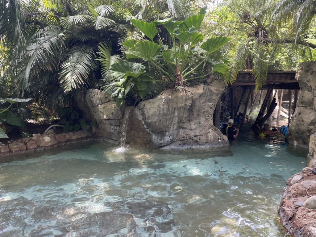1024x768 Why you should visit Discovery Cove Orlando detailed guide