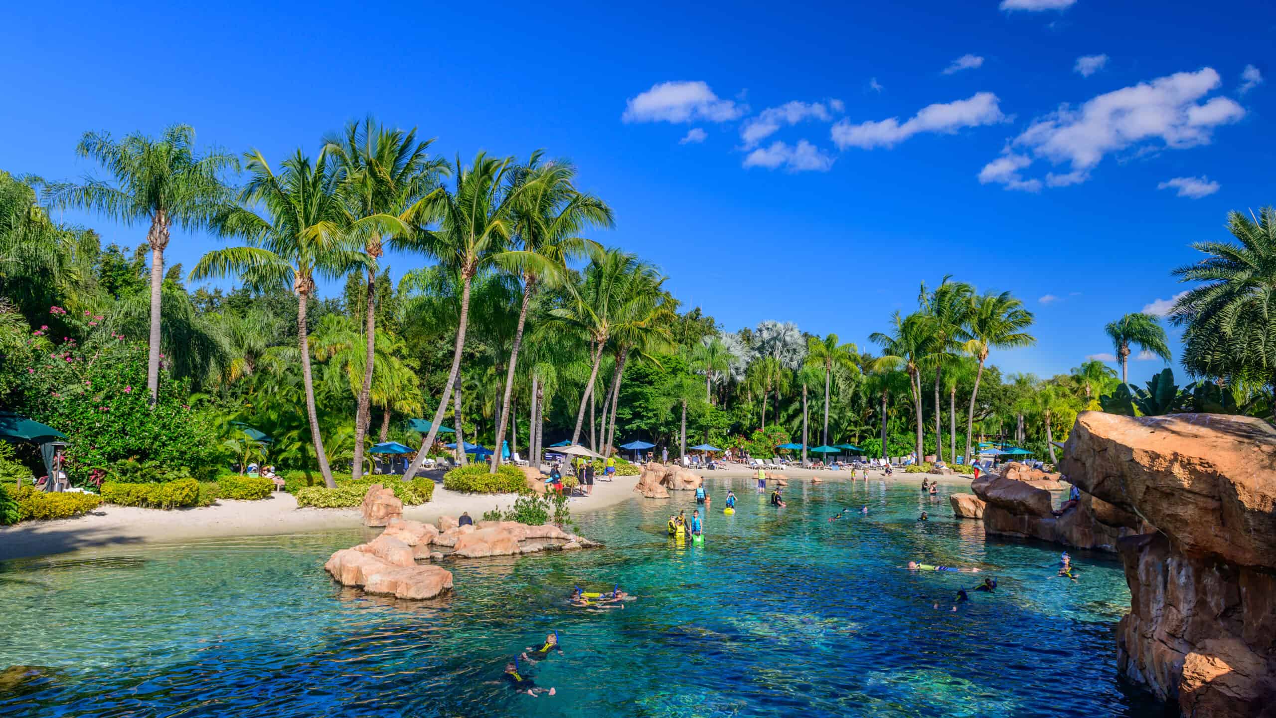 2560x1440 Here's Why Travelers Pick Discovery Cove as The Top Theme Park in Orlando
