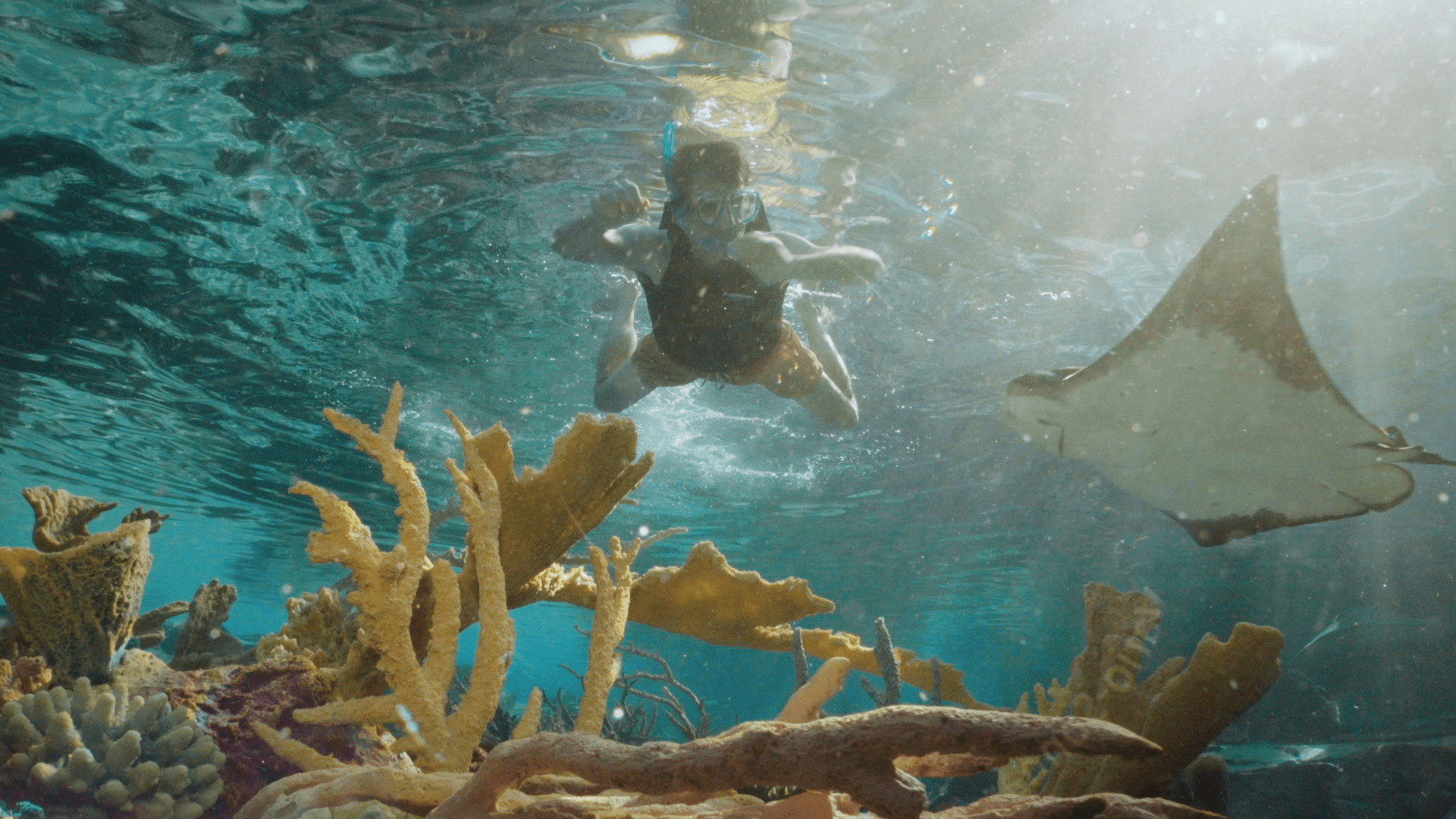 1920x1080 Travel Leisure Discovery Cove