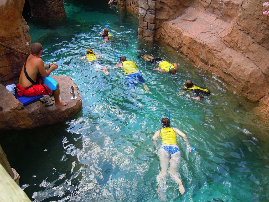 1024x768 Grand Reef at Discovery Cove, SeaWorld Orlando. Inside the Magic