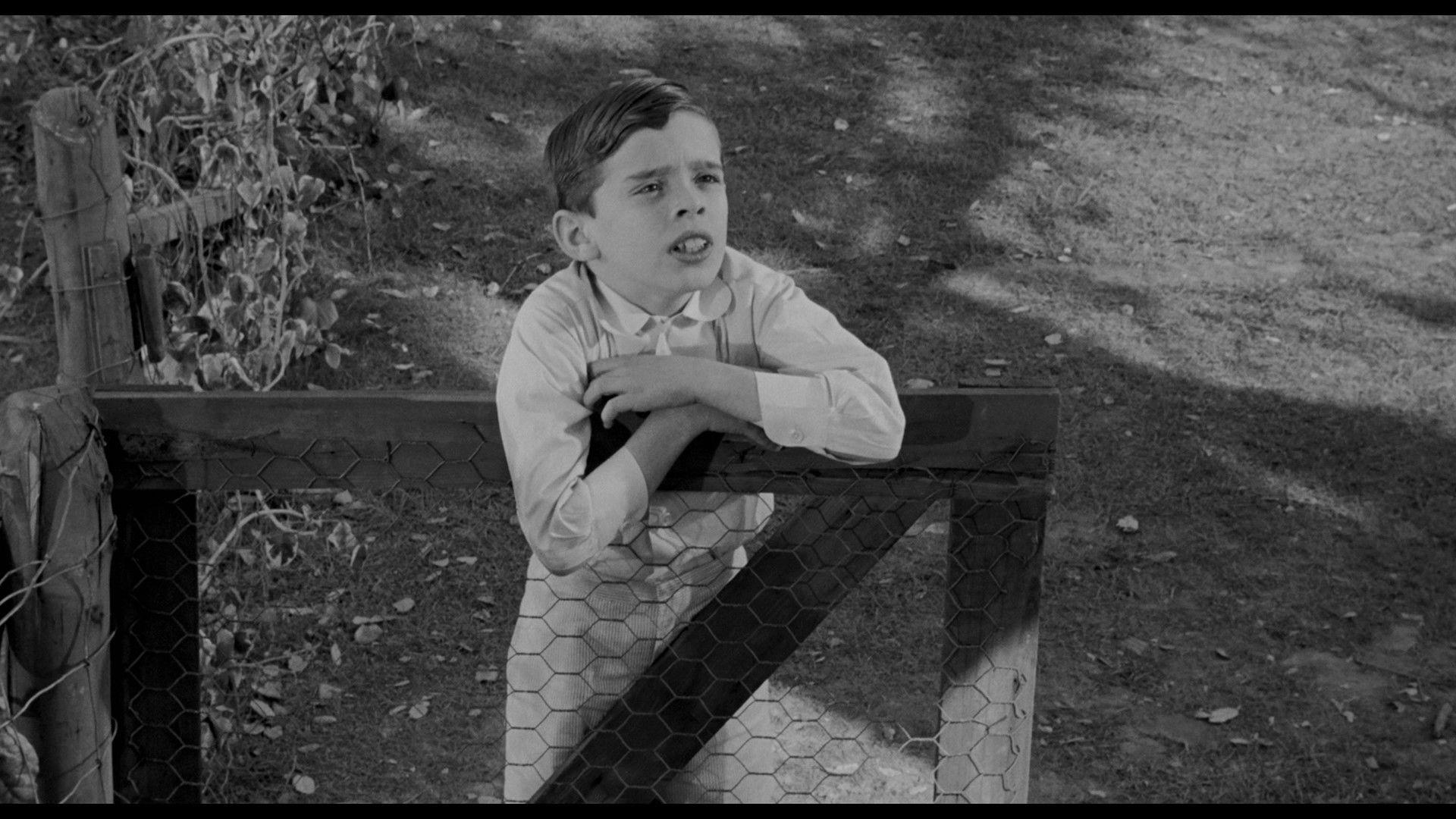 1920x1080 To Kill a Mockingbird Wallpaper