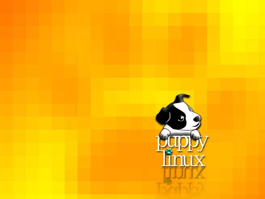 1024x768 3504842872_f0f93Deea1_