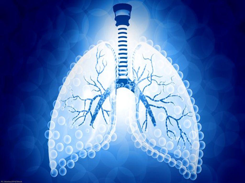 Lungs Wallpapers - Top Free Lungs Backgrounds - WallpaperAccess