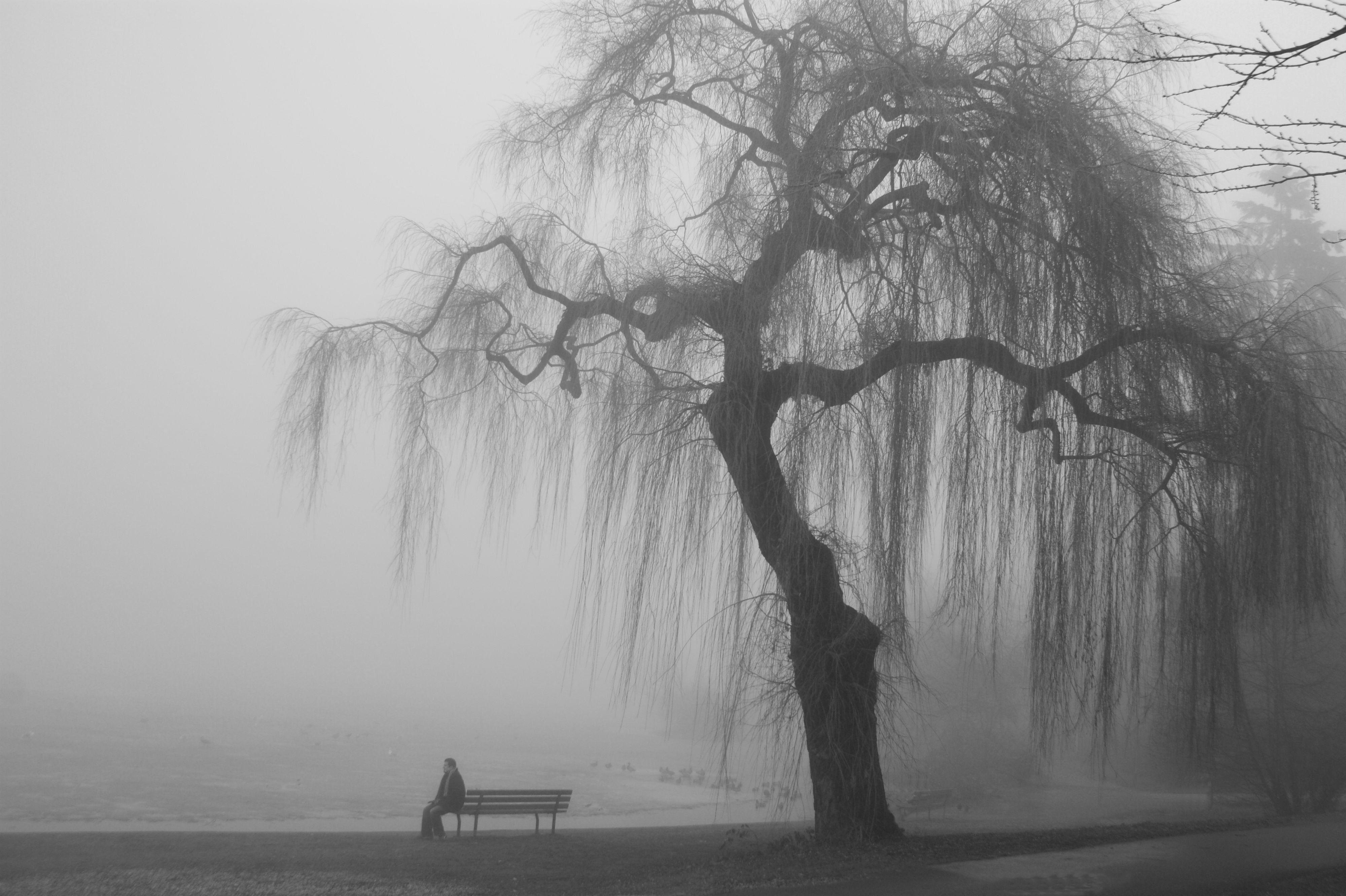 4000x2662 Depression Wallpaper