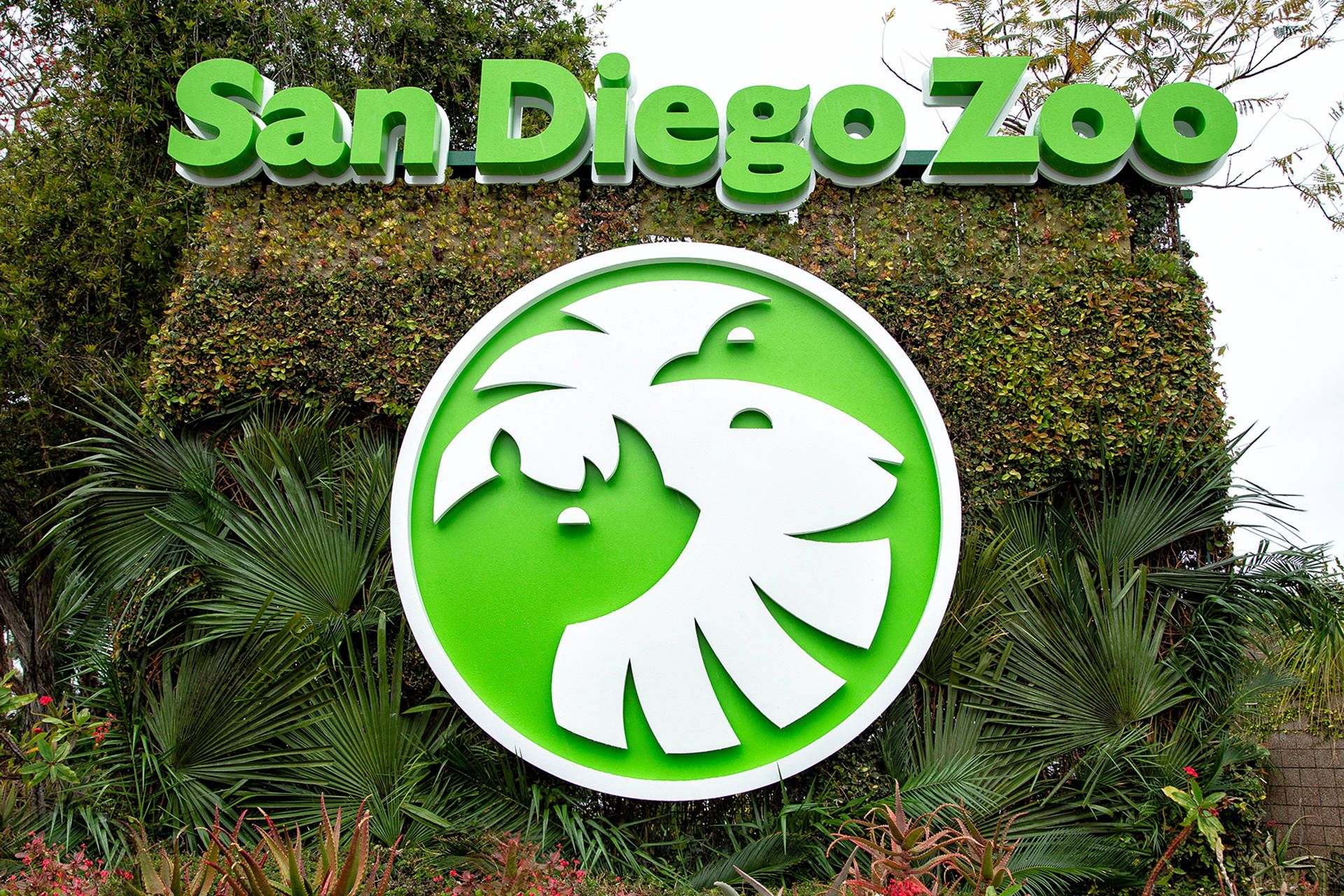 1920x1280 San Diego Zoo Wallpaper