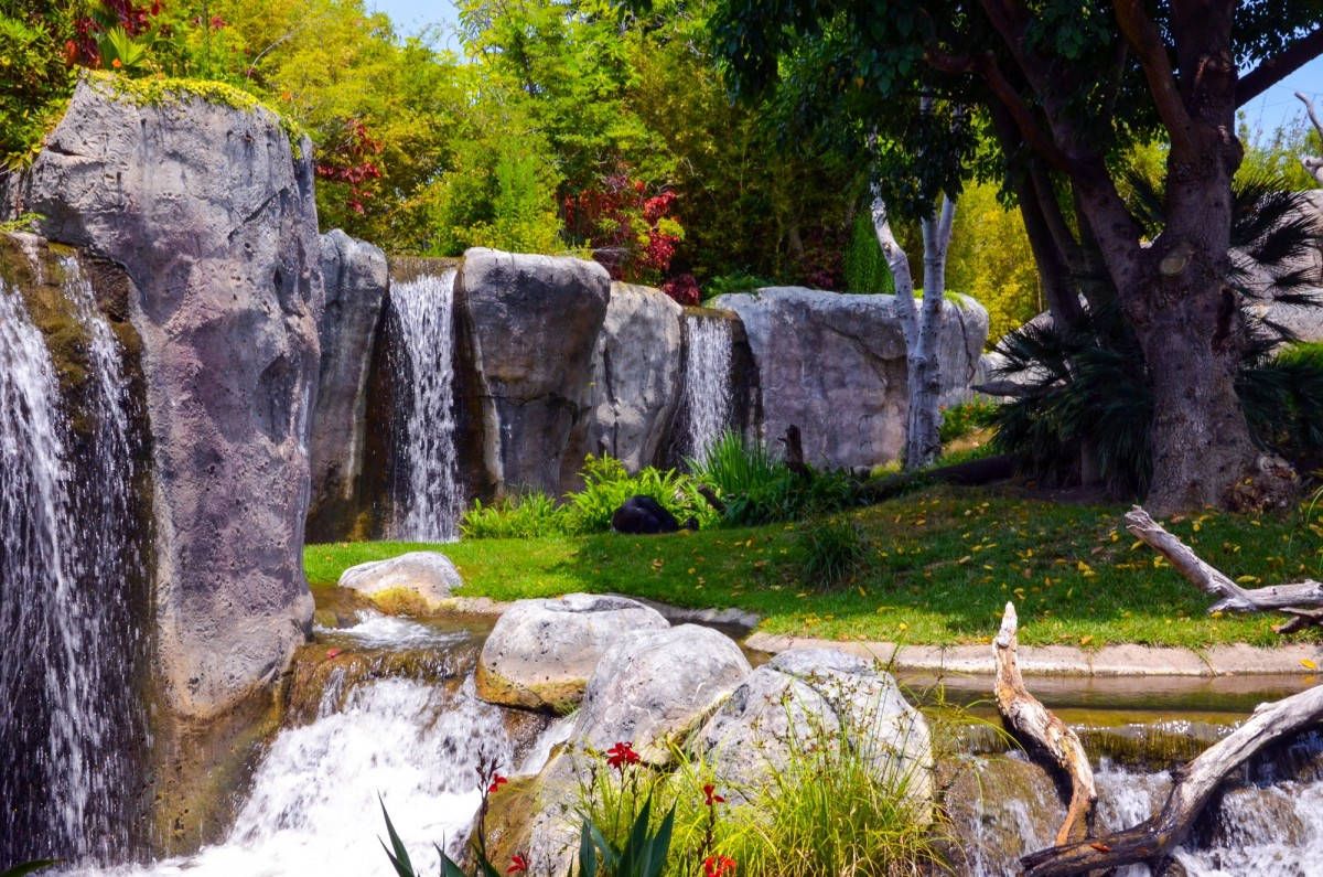 1200x795 San Diego Zoo Picture