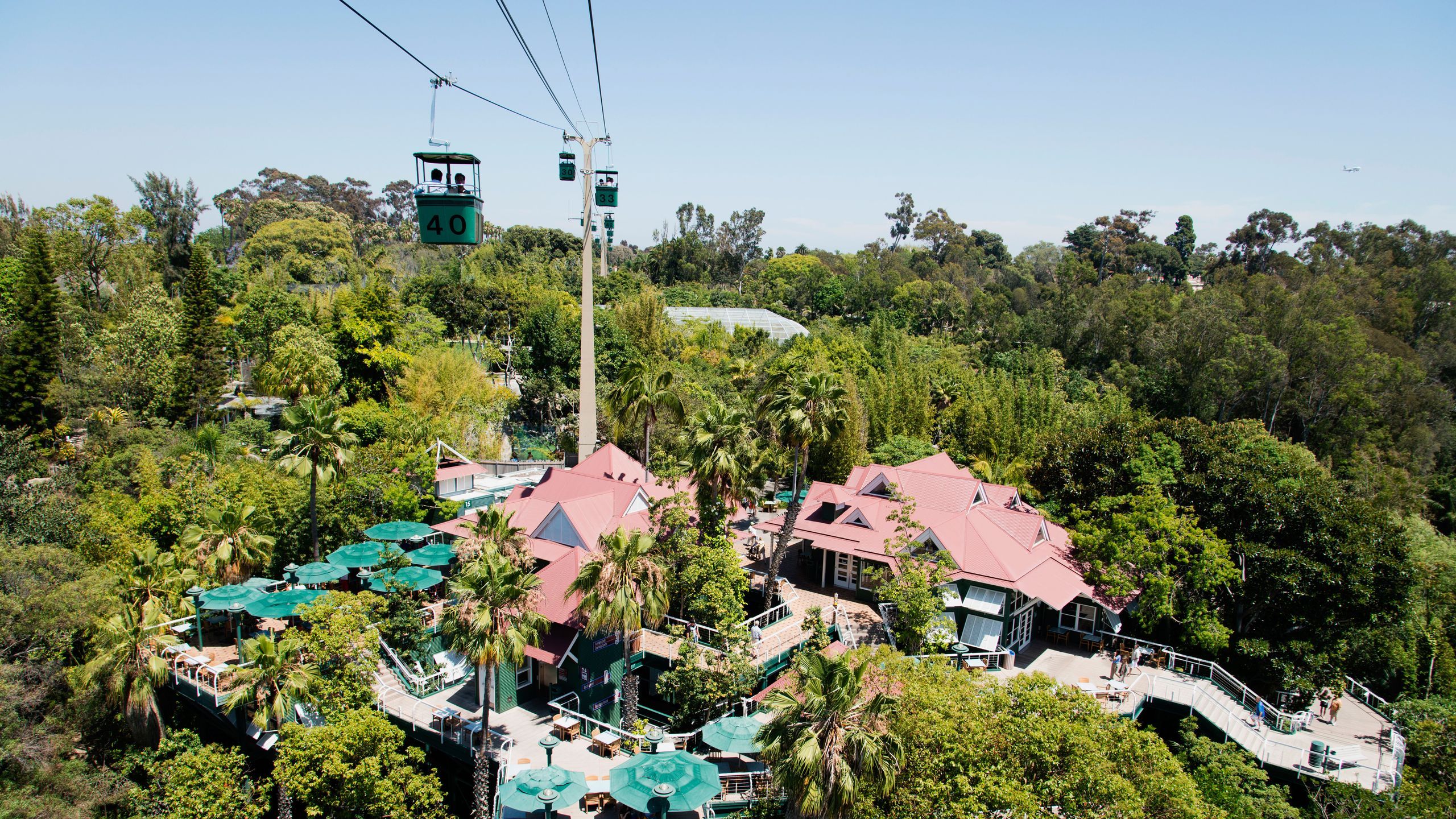 2560x1440 San Diego Zoo