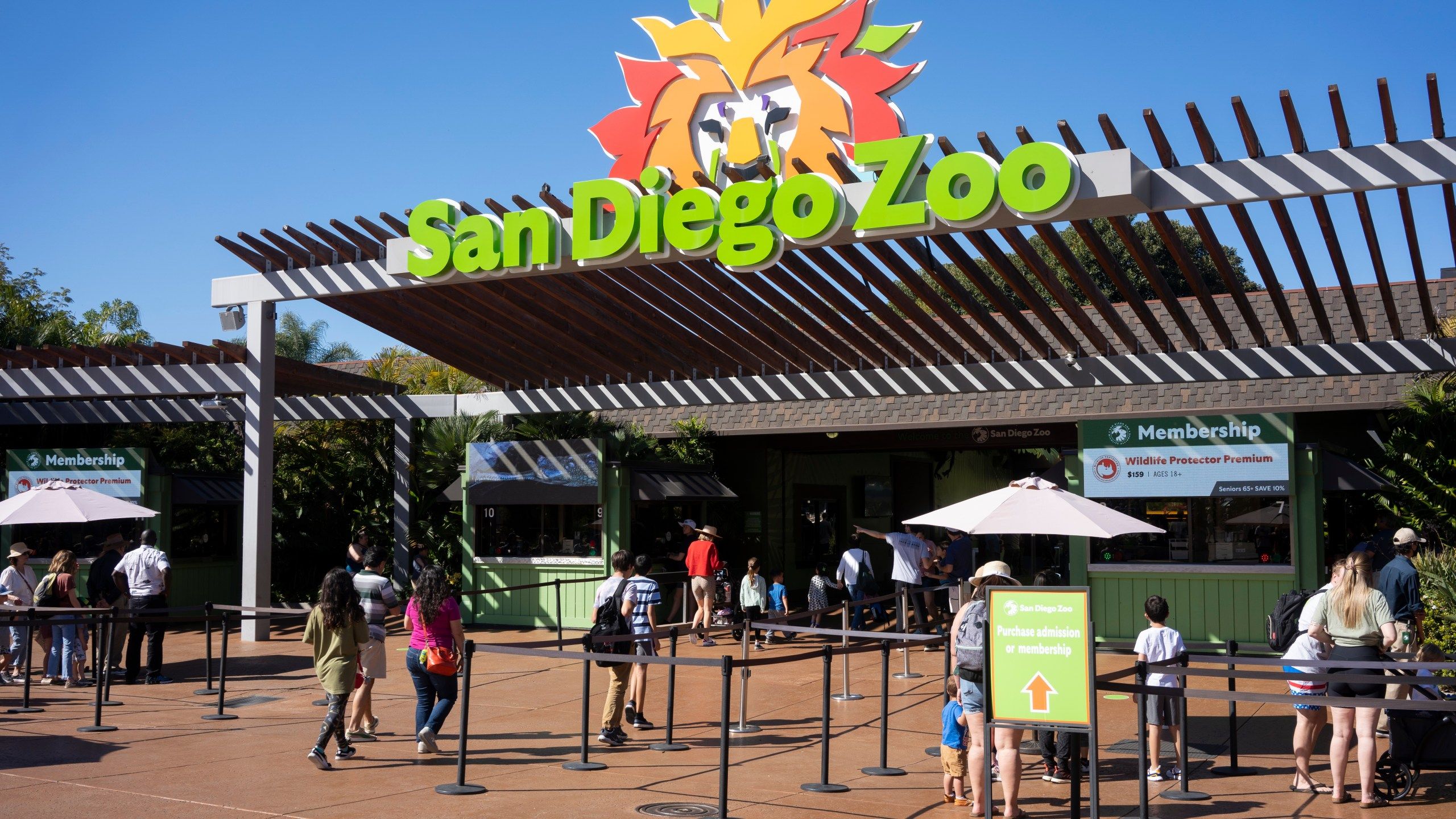 2560x1440 San Diego Zoo named 'most Instagrammable' in the U.S