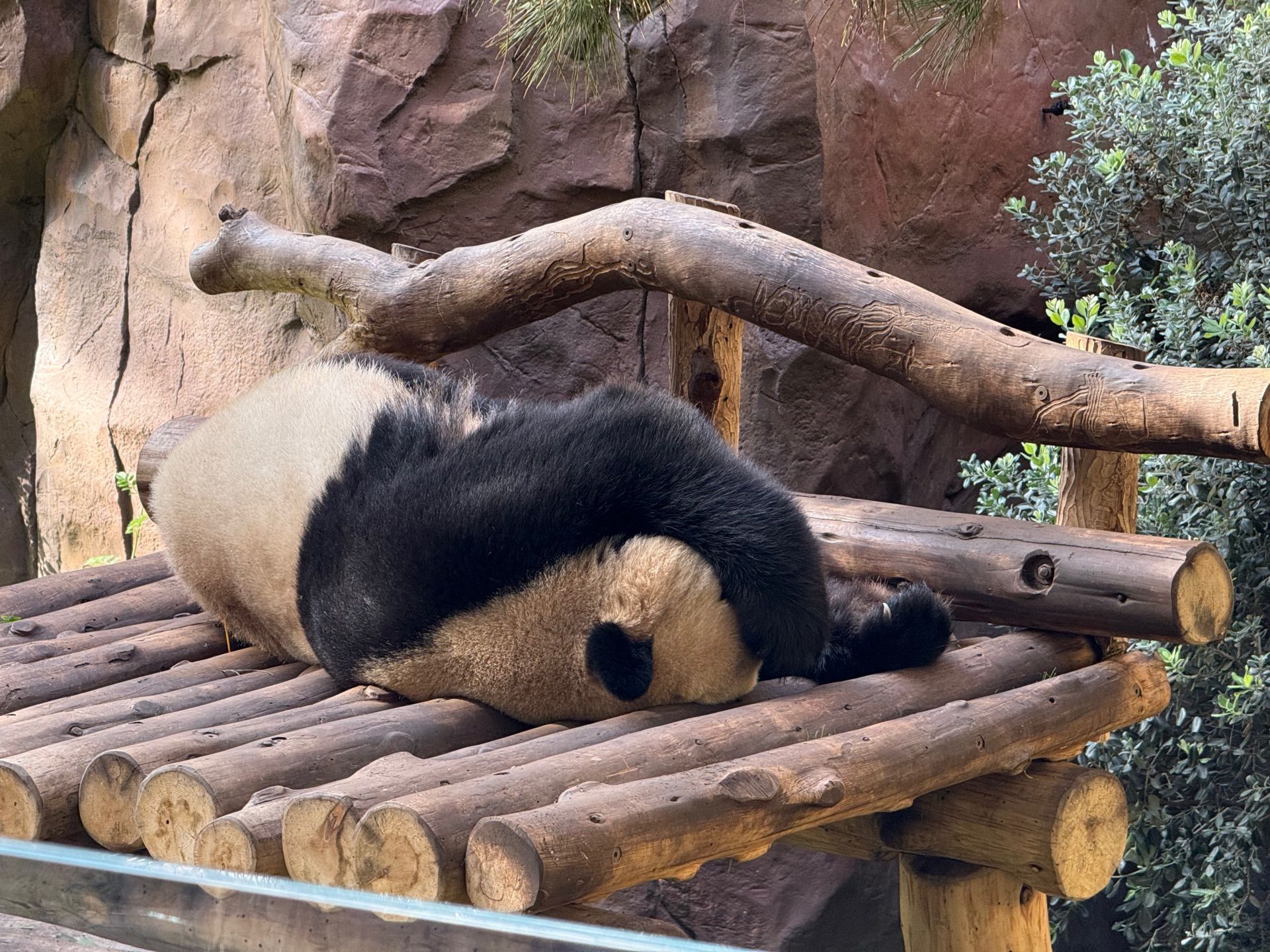 1920x1440 San Diego Zoo Zoo Dr, San Diego