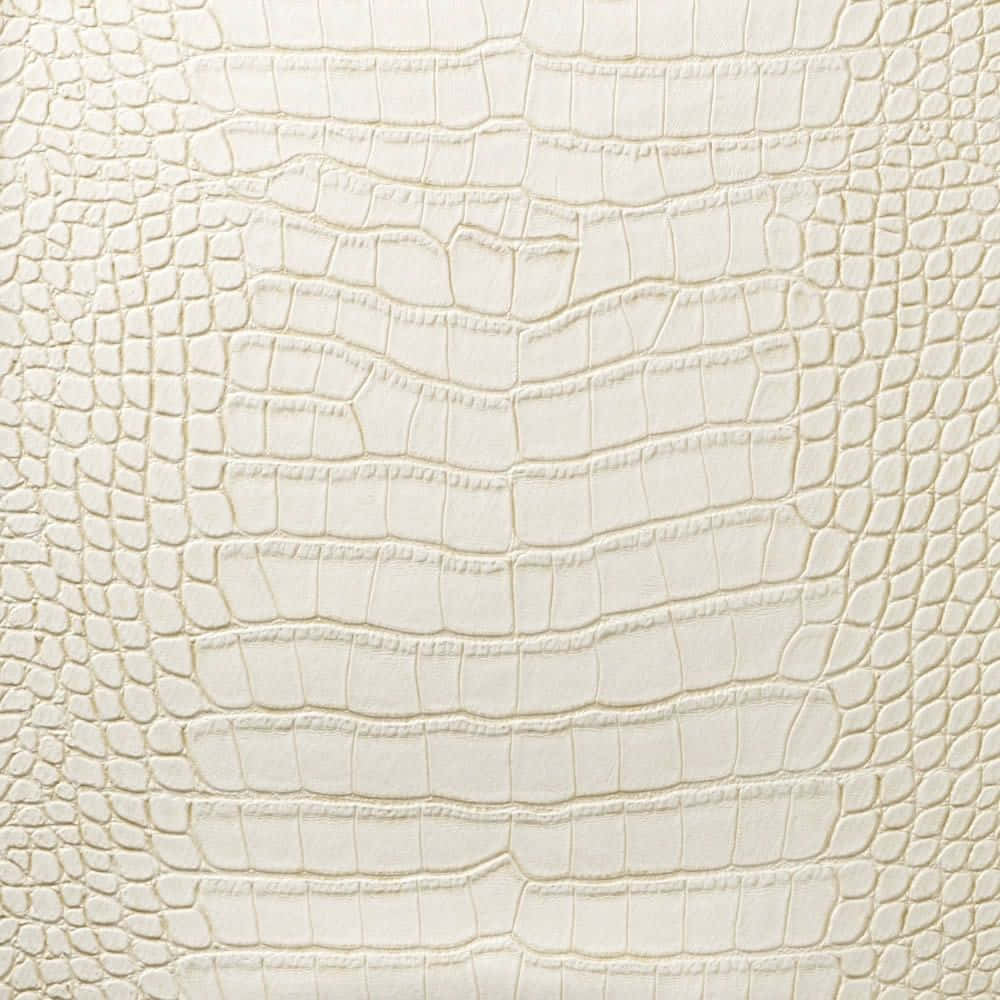 1000x1000 Download Cream Color Background Crocodile Skin