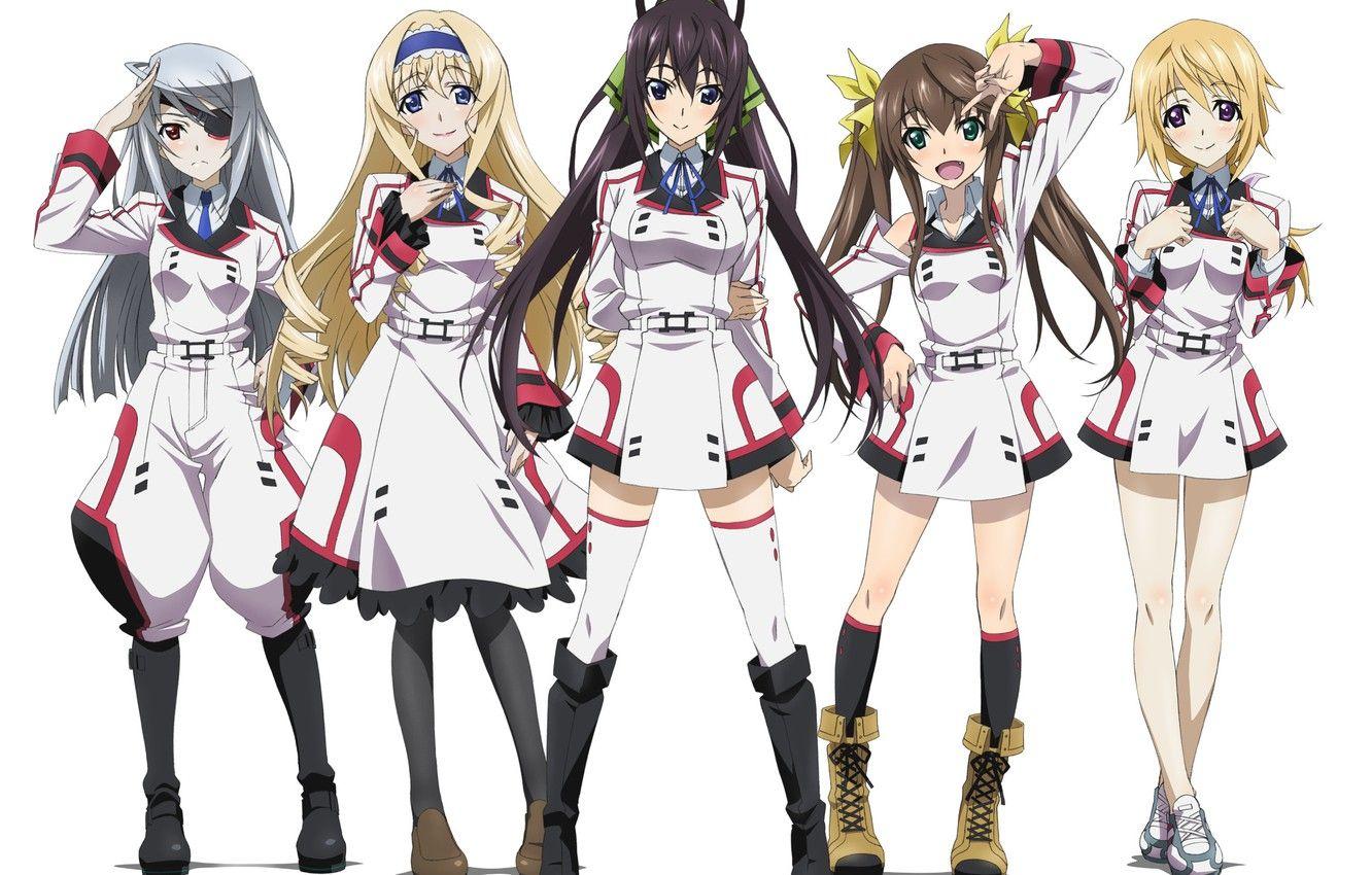 1332x850 Wallpaper girls, anime, art, Infinite Stratos, Houki Shinonono