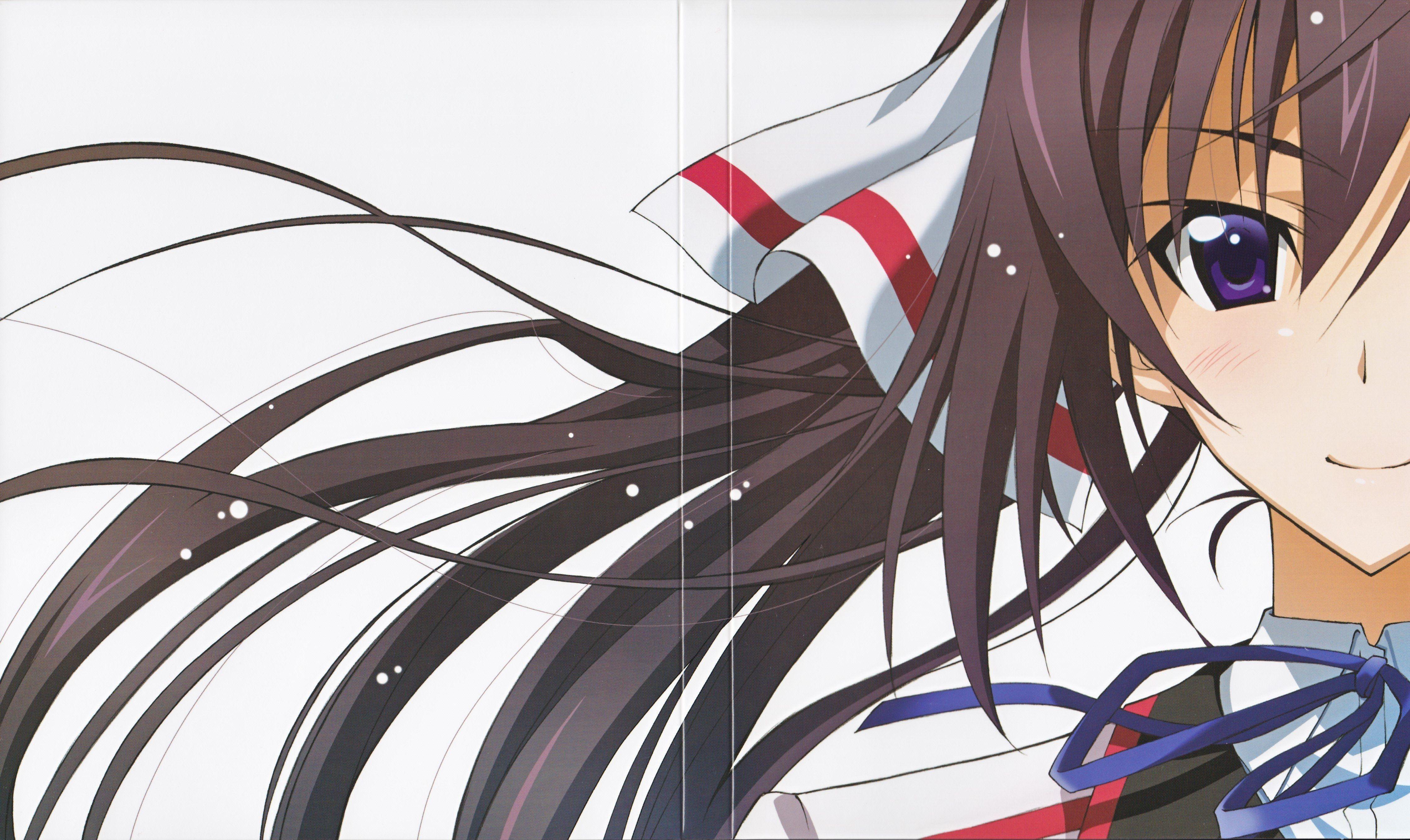 4539x2706 infinite, Stratos, Houki, Shinonono Wallpaper HD / Desktop