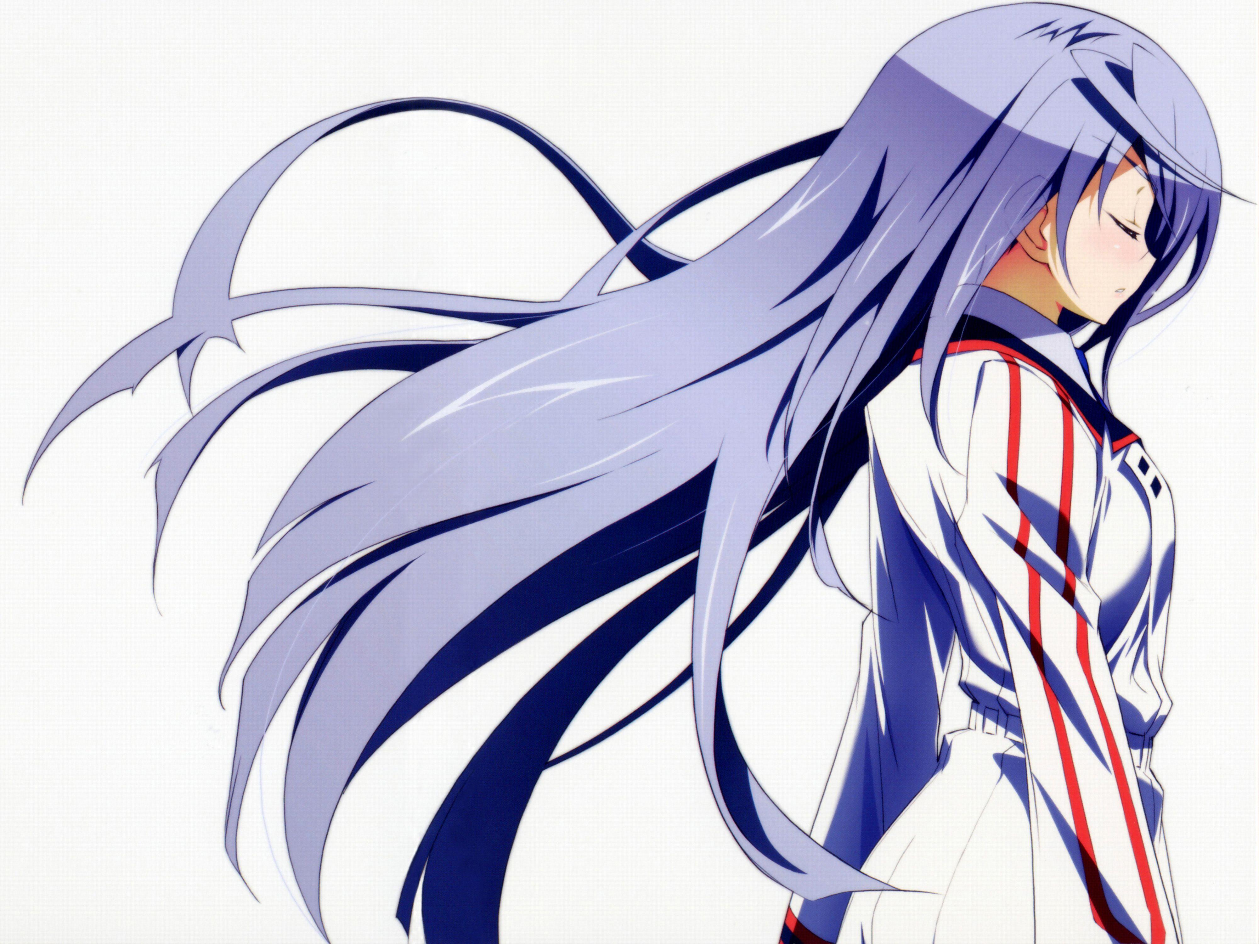 4000x3000 4K Ultra HD Infinite Stratos Wallpaper