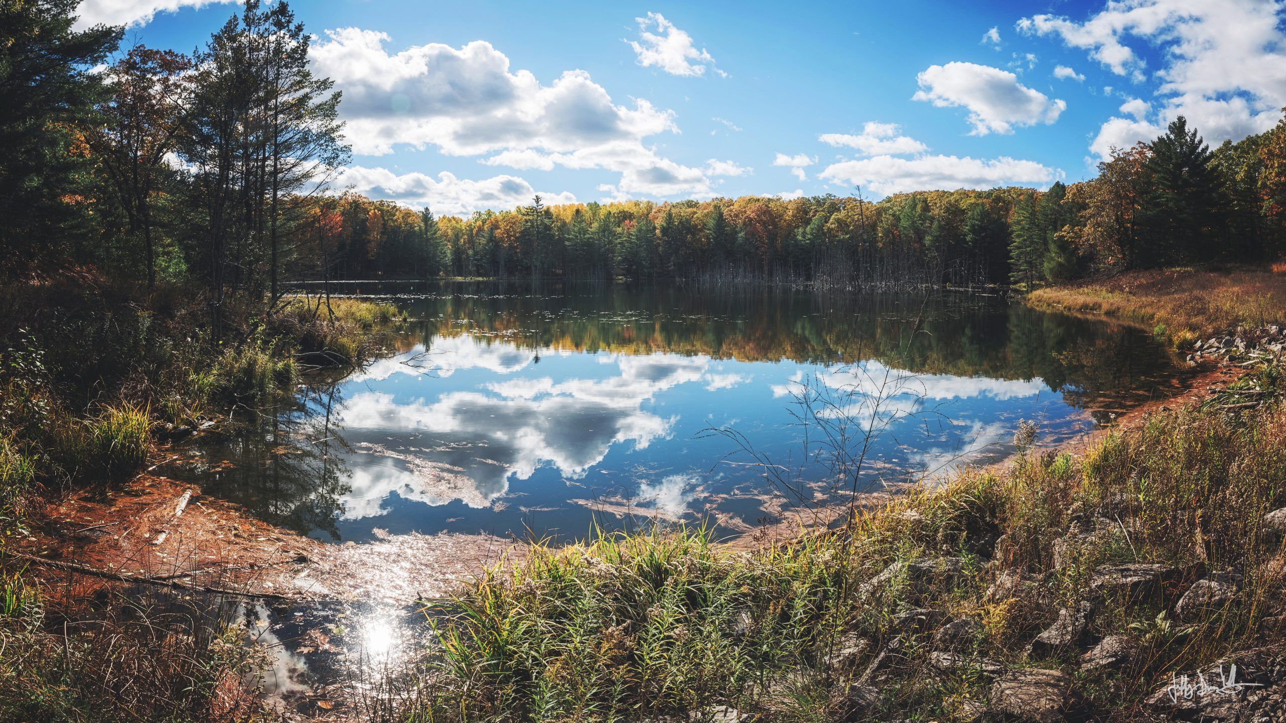 2560x1440 Little Trout Lake Fall Colors Lake Trail National Forest