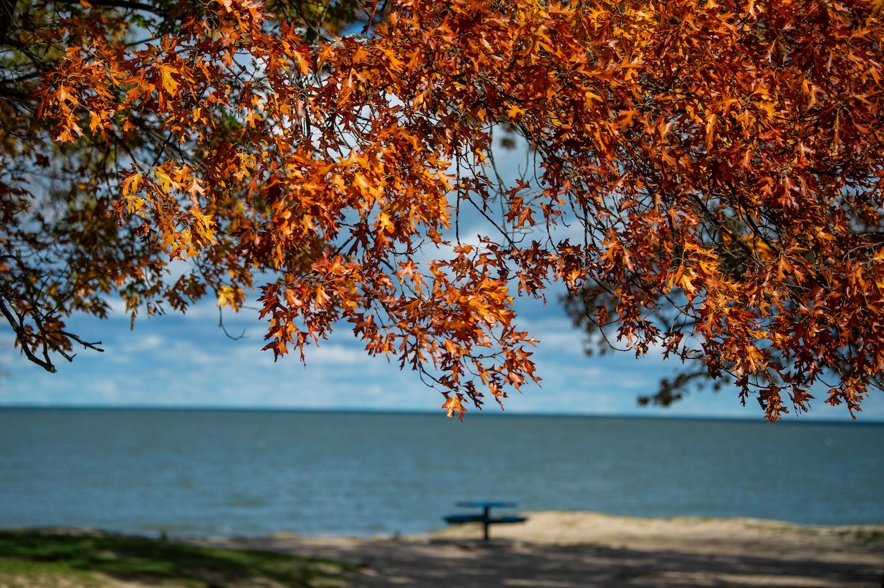 1280x852 Catch fall colors along Lake Huron as winter approaches